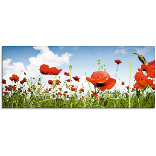 Artland Glasbild »Feld mit Mohnblumen unter Himmel«, Blumenwiese, (1 St.),  in verschiedenen Größen auf Raten kaufen