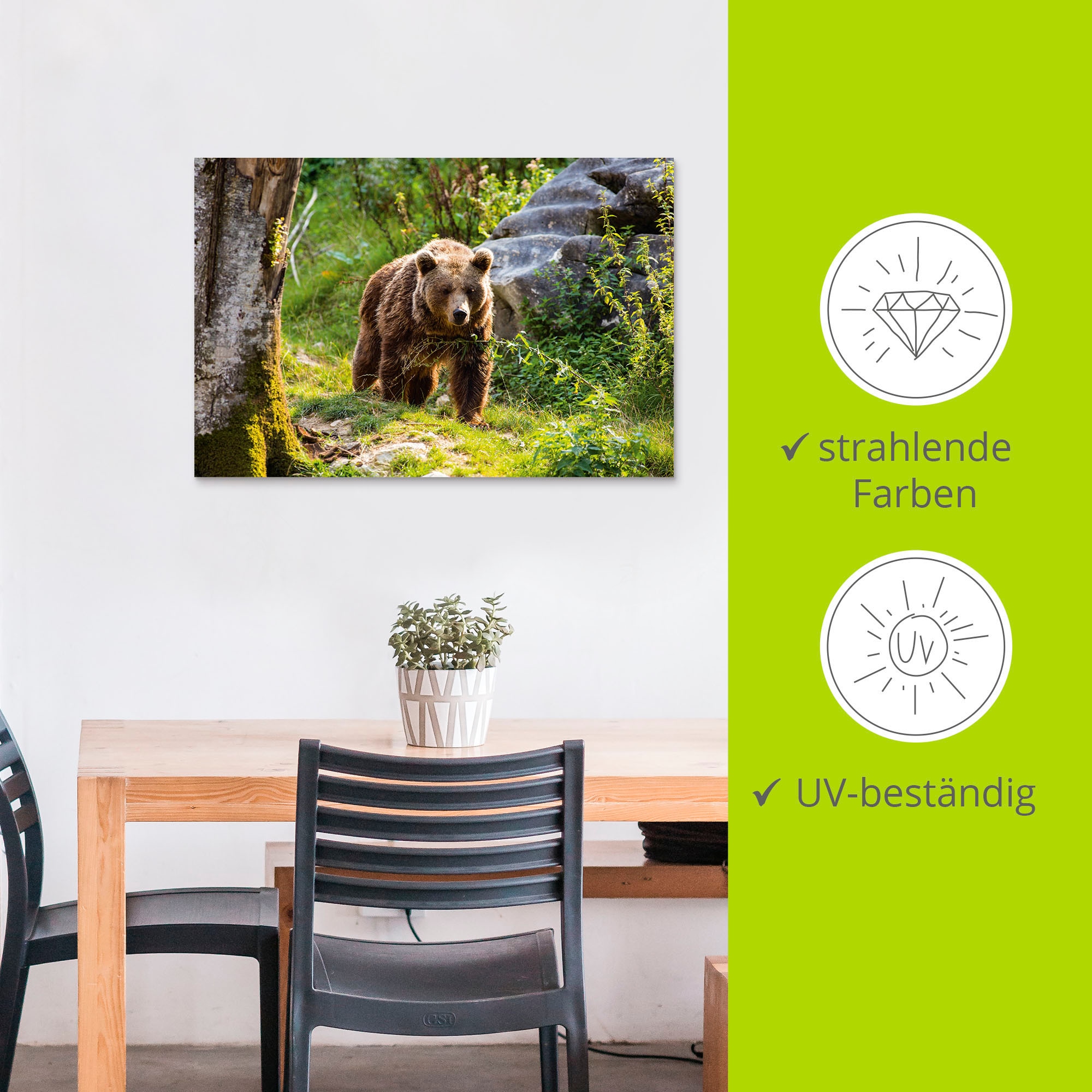 Artland Alu-Dibond-Druck »Braunbär auf Wanderung«, Bären, (1 St.), für Innen- und Außenbereich geeignet, Outdoorbild