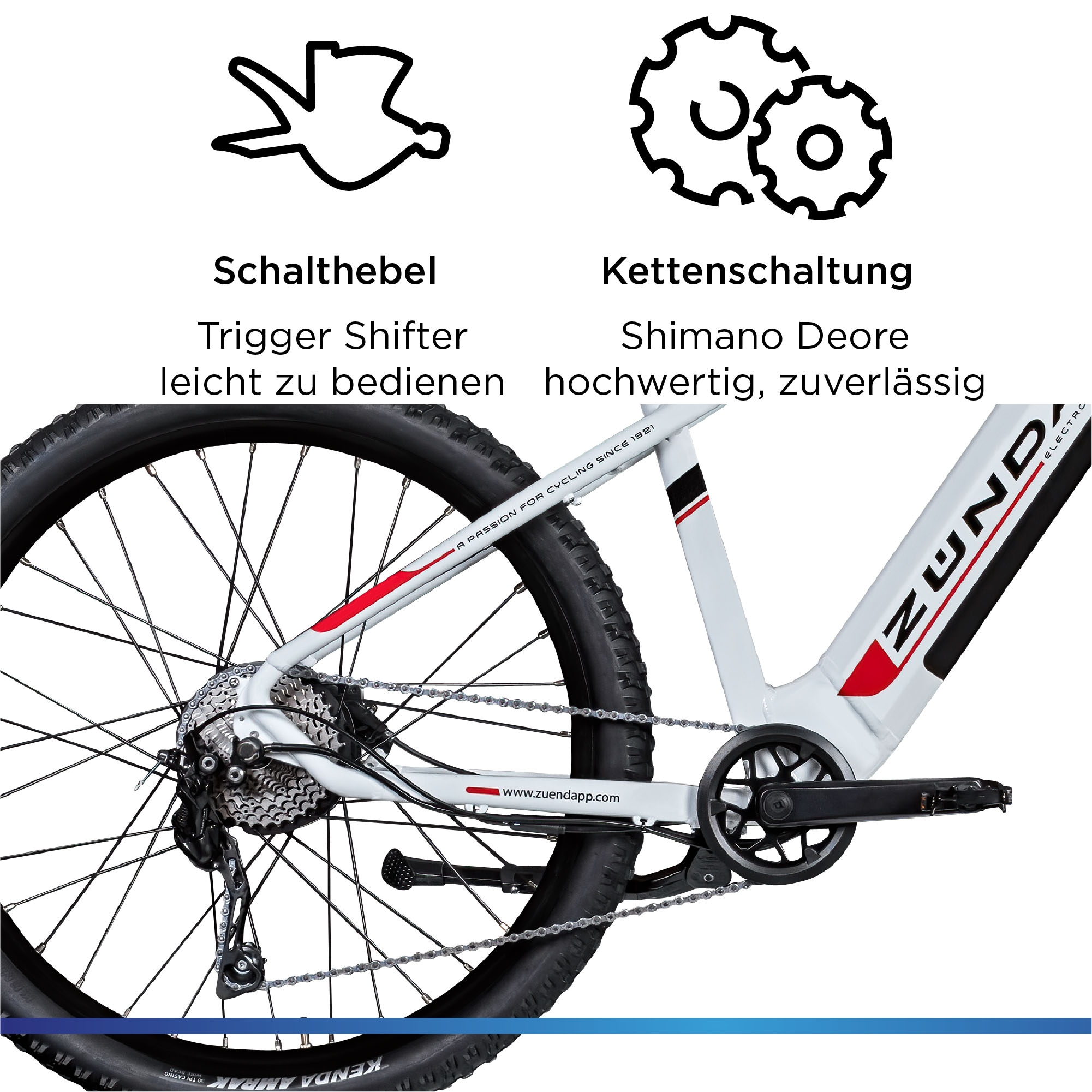 Zündapp »Z898« 10 Gang Kettenschaltung Heckmotor 250 W Pedelec, Elektrofahrrad für Damen u. Herren, MTB