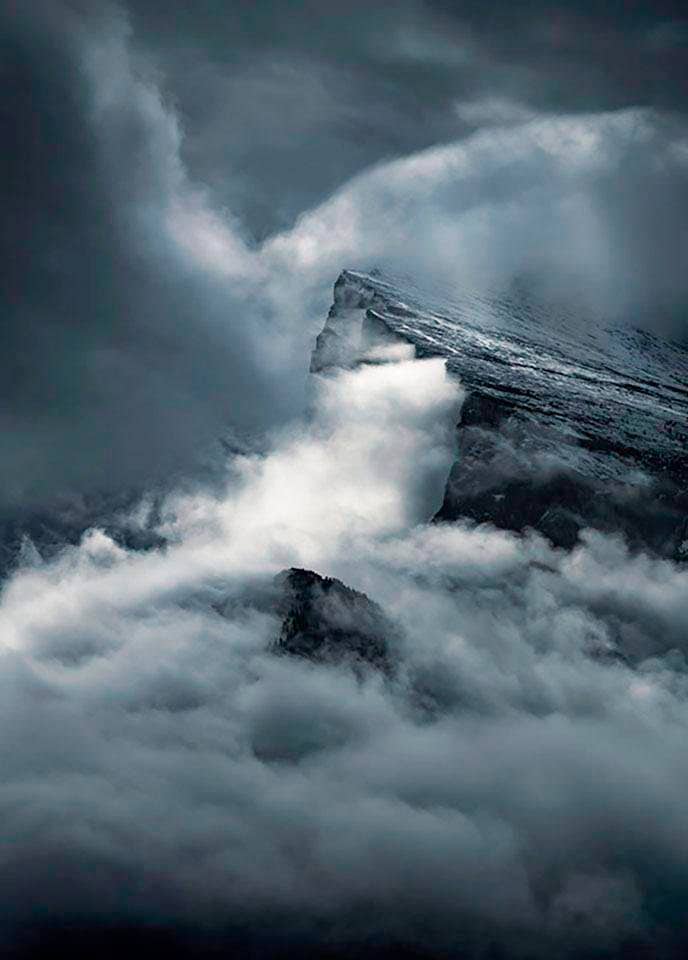Komar Bild »Arrowhead«, Natur, (1 St.), Wandbild zur Dekoration - ohne Rahmen