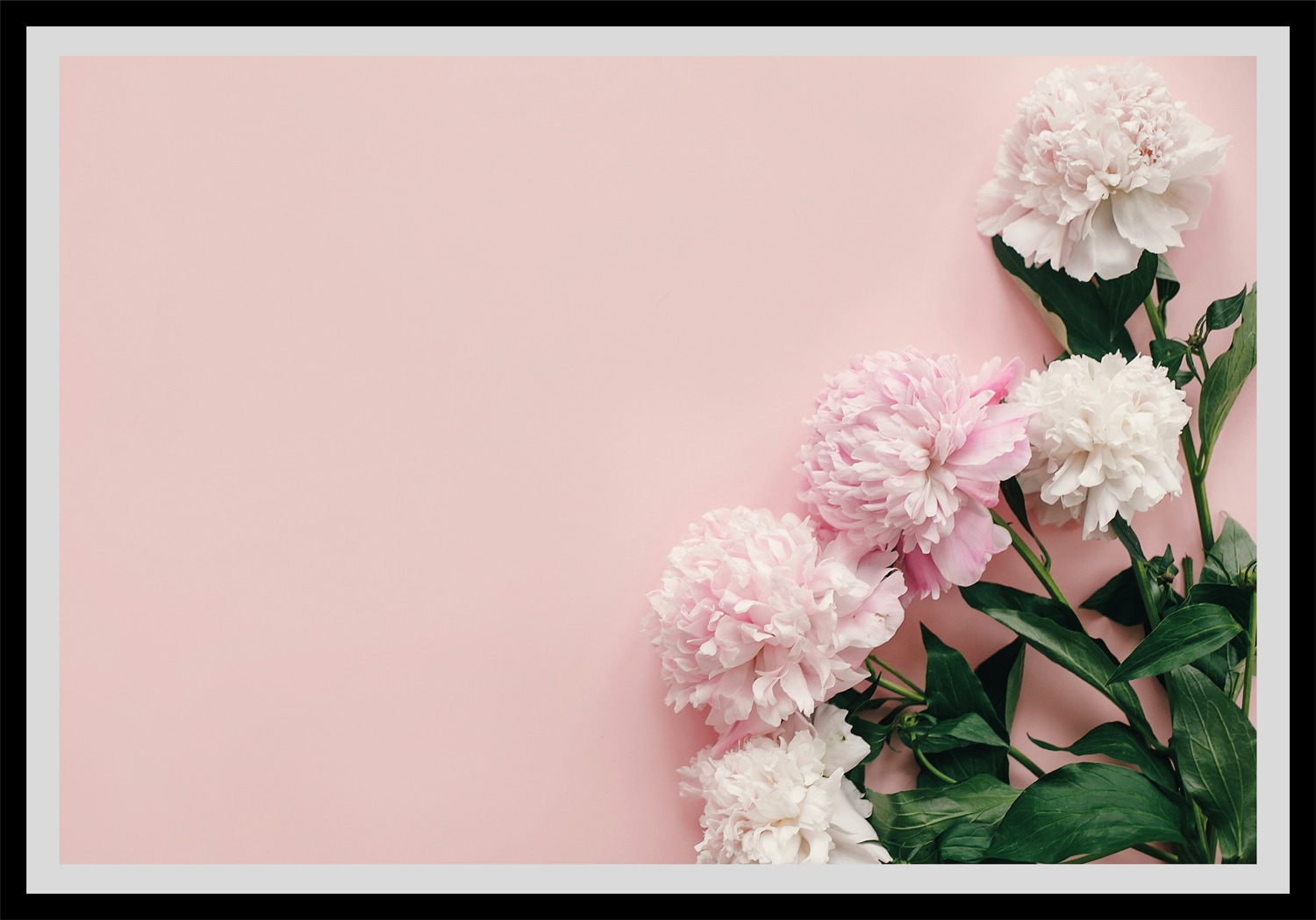 queence Bild »Gunda« Blumen | Foto | Kunst | Pflanzen | Pflanzenbilder Rosen, gerahmt