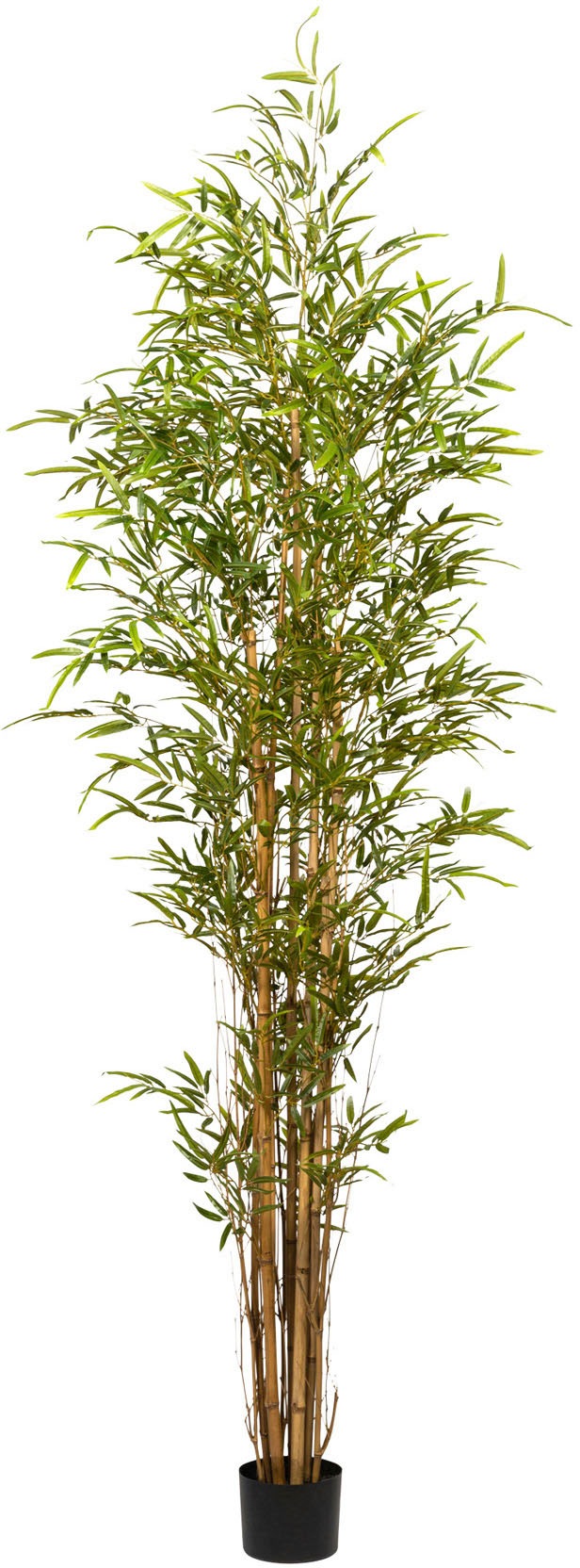 bestellen bequem Creativ Kunstbaum »Bambus« green