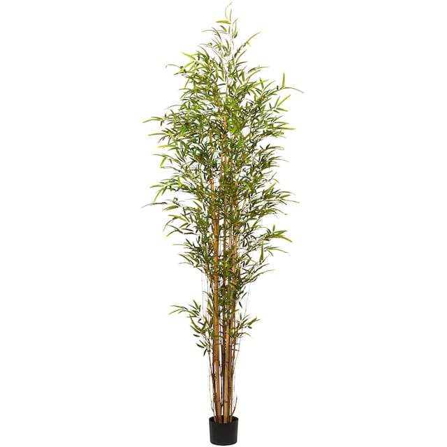 Creativ green Kunstbaum »Bambus« bequem bestellen