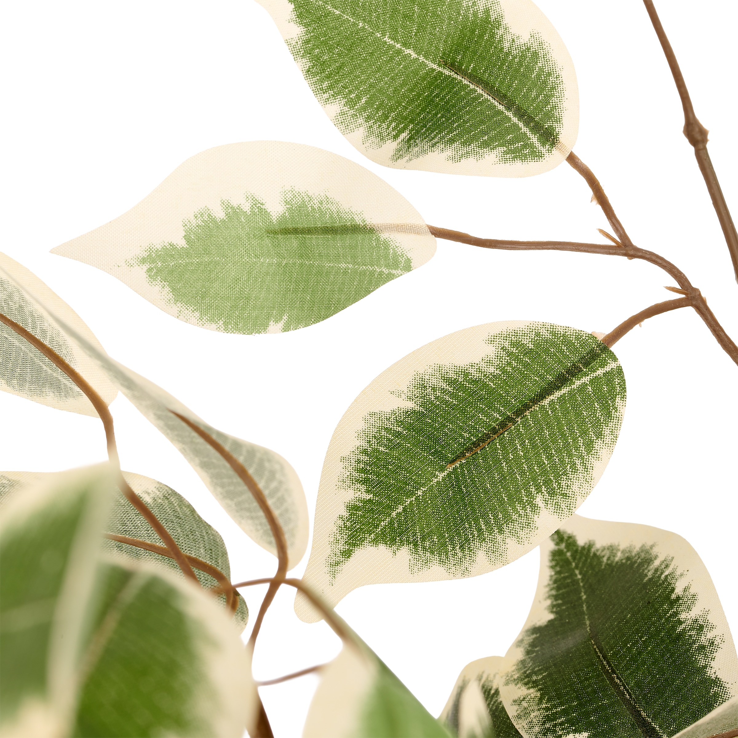 Creativ green Kunstbaum »Ficus hawai« mit schönem Blattwerk