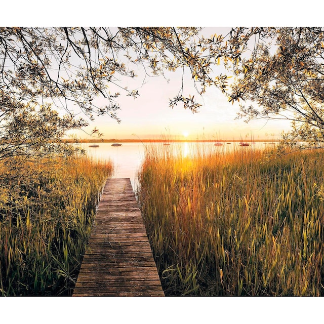 Komar Vliestapete »Lakeside«, naturalistisch, 300x250 cm (Breite x Höhe),  Vliestapete, 100 cm Bahnbreite online kaufen | mit 3 Jahren XXL Garantie