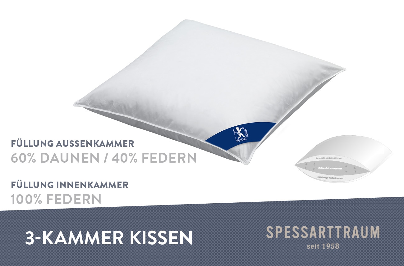 SPESSARTTRAUM 3-Kammer-Kopfkissen »Bern Kissen 40x80cm, 80x80cm«, Füllung: 60% Daunen & 40 % Federn (Außenkammer), Bezug: 100% Baumwolle, (1 St.), Kissen Made in Germany und die Füllung ist zertifiziert vom Downpass
