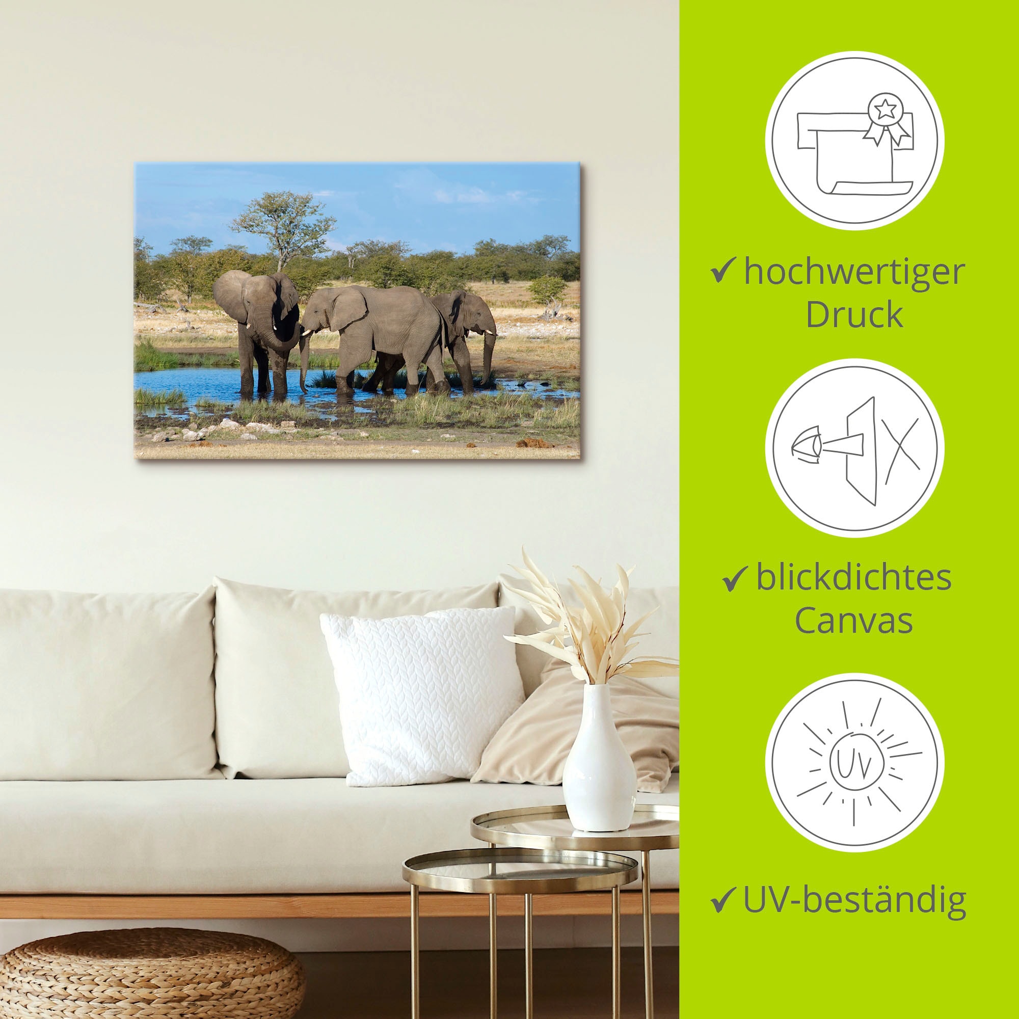 kaufen oder Wandbild bequem Bilder, in Elefant als Poster Alubild, Größen St.), »Afrikanischer Elefanten Artland versch. EtoshaNationalpark«, Leinwandbild, (1 Wandaufkleber