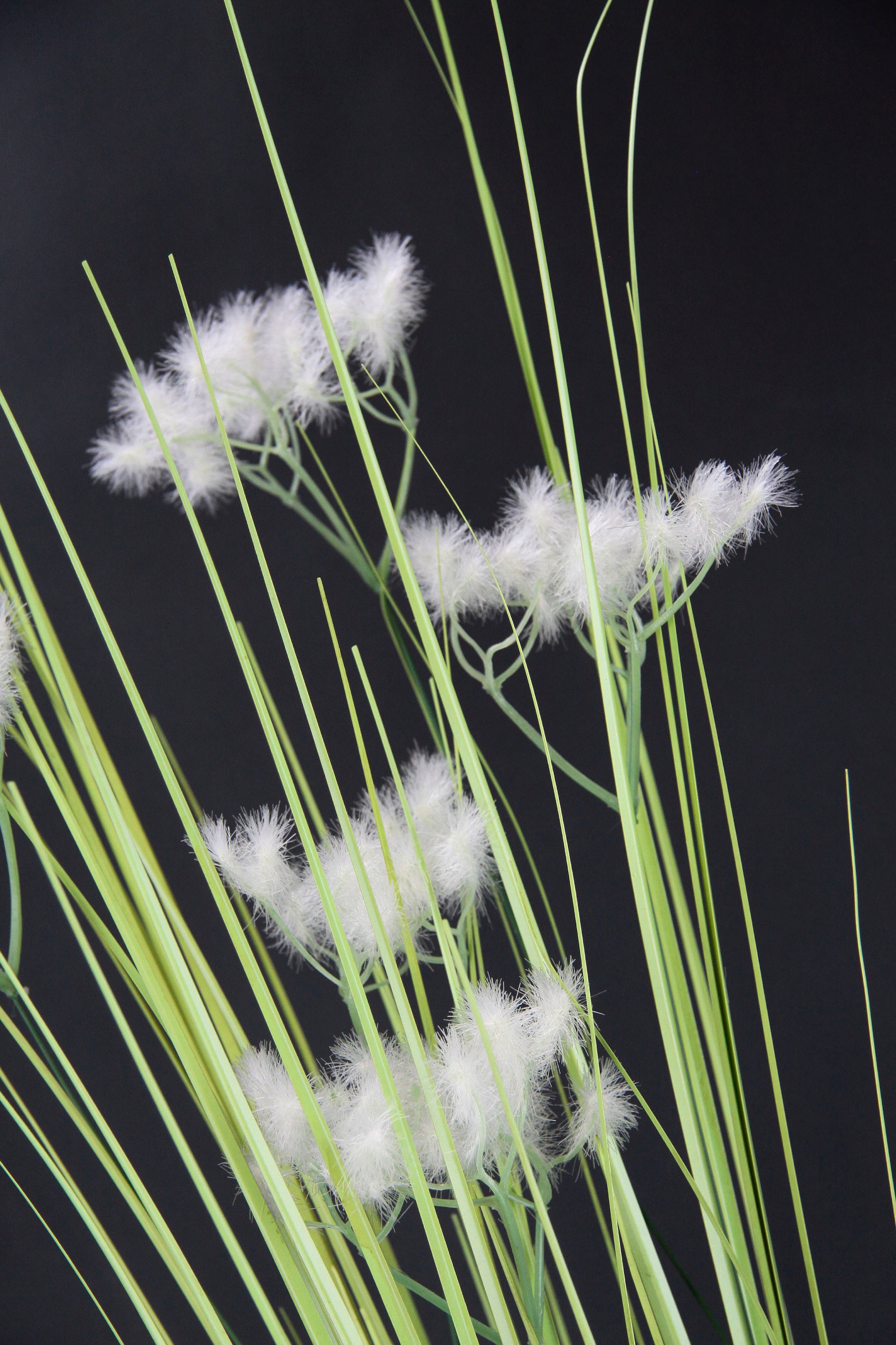 Raten I.GE.A. Dekozweig, »Pusteblume«, 2er Kunstpflanze Set bestellen auf