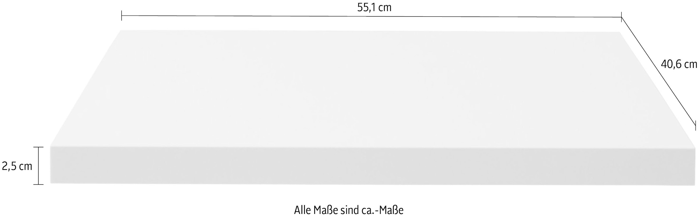 Müller SMALL LIVING Einlegeboden »M20-SB-FB-02«, passend zu den Modular Plus Sideboards und Kommoden