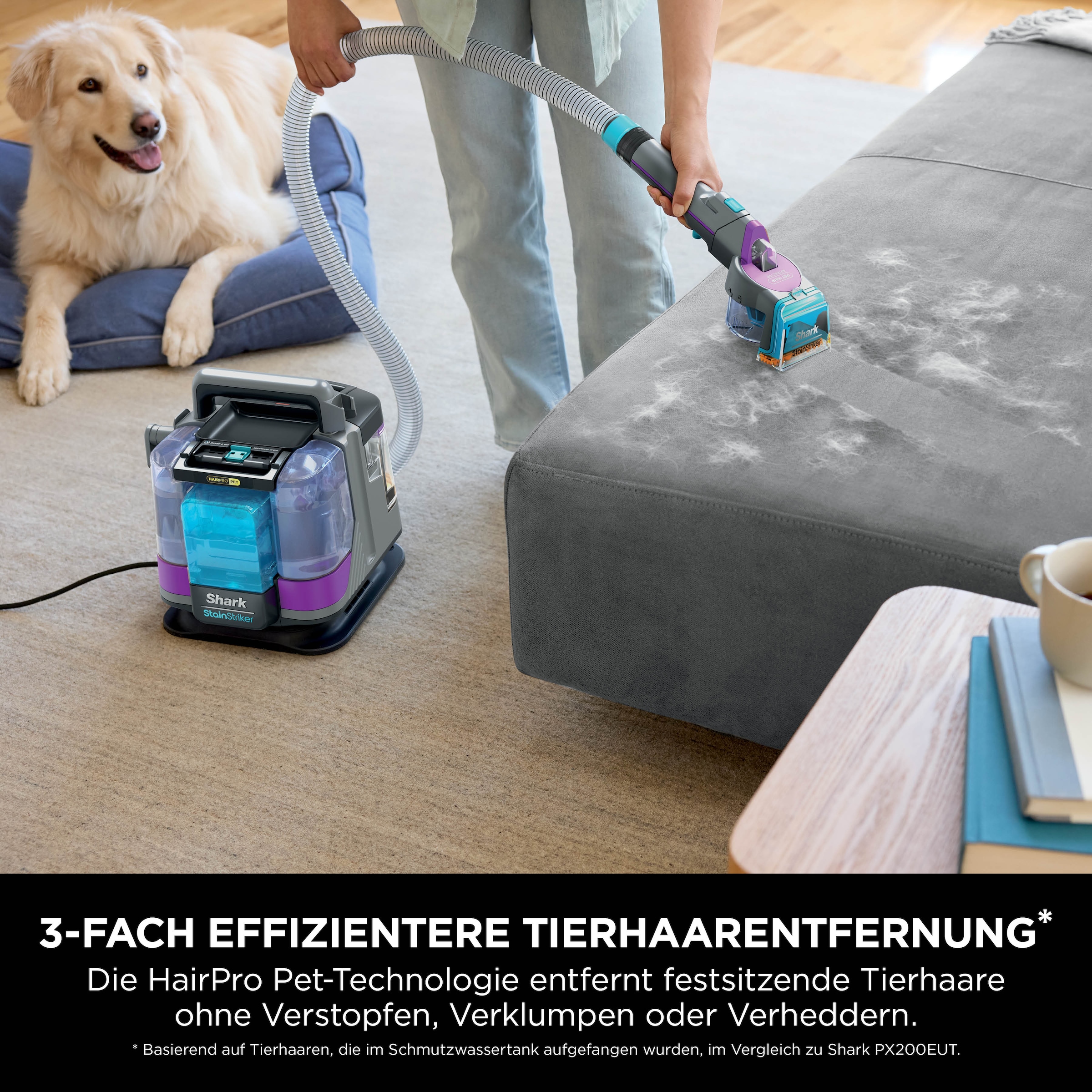 Shark Wasch-Sauger »PX250EUT Shark StainStriker HairPro« Inklusive 4 Spezialaufsätzen