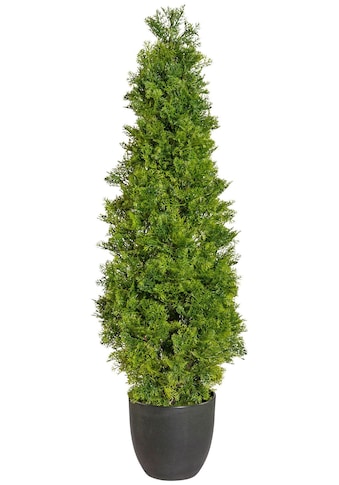 Creativ green Kunstpflanze »Zypressenpyramide«, (1 St.), im Kunststofftopf kaufen