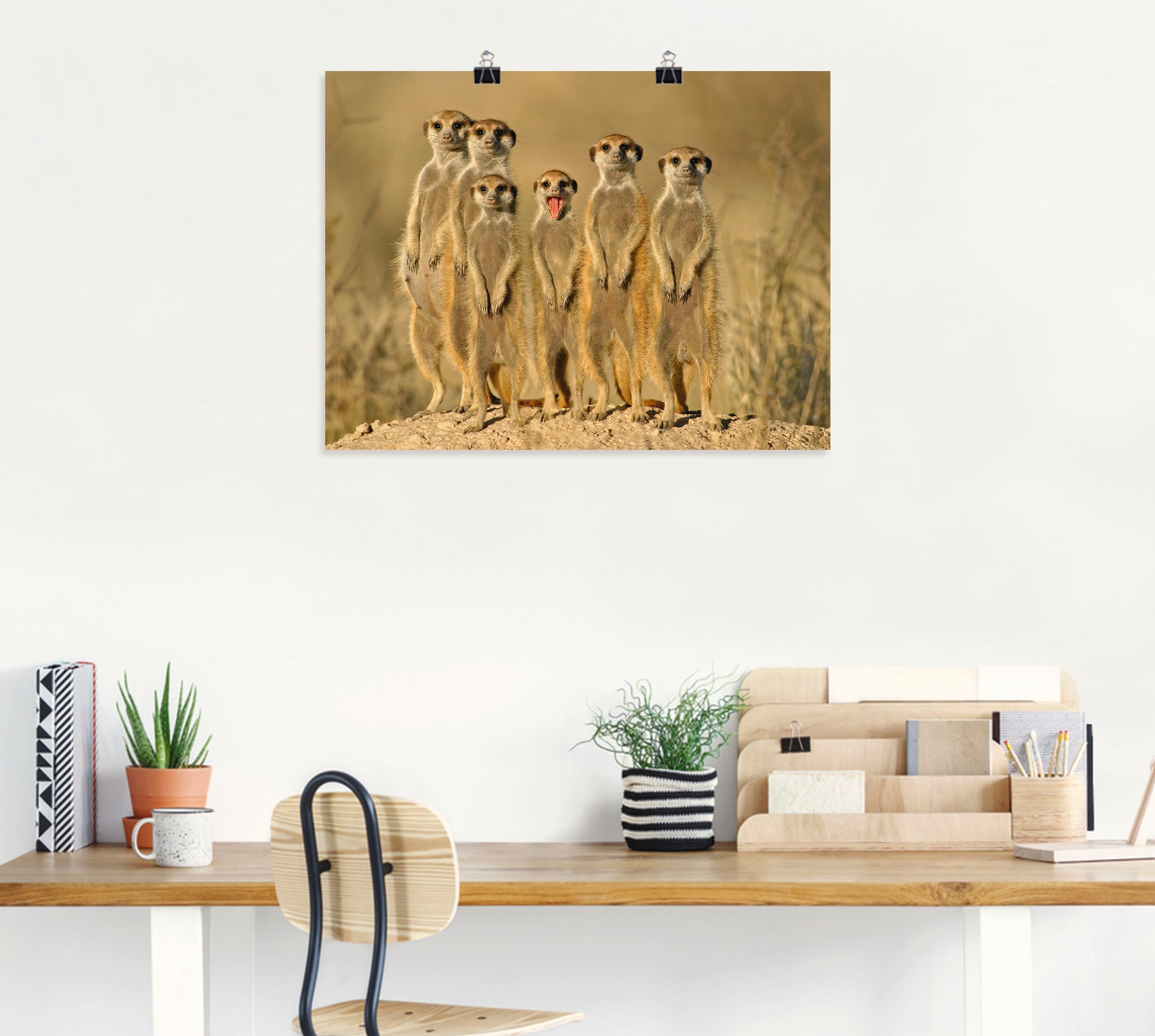 Artland Poster »Erdmännchen Familie« Wildtiere 1 Stk. tlg. als Poster in verschied. Größen
