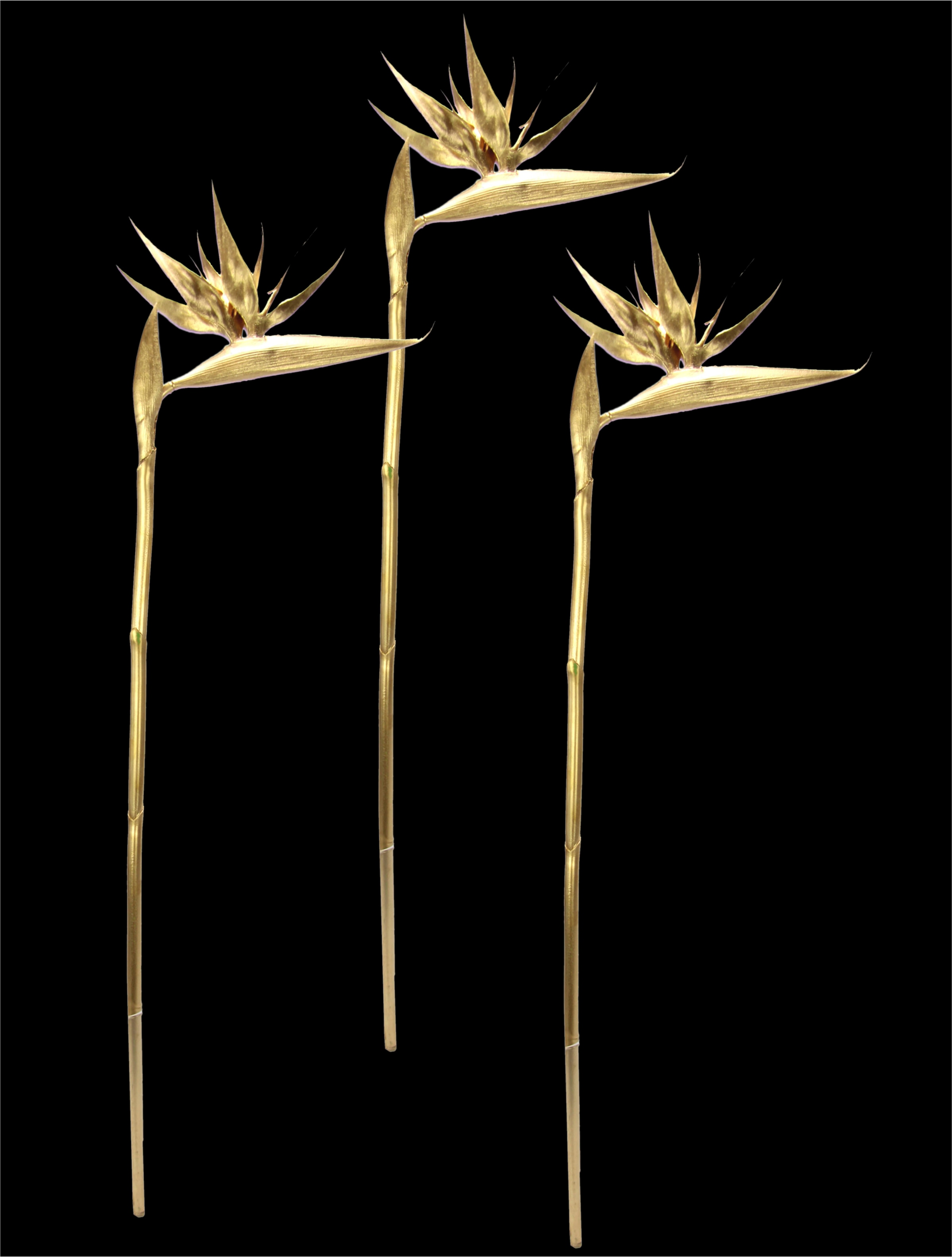 Set »Strelitzie«, Exotischer bestellen Blume, Dekozweig,Tropische I.GE.A. 3er bequem Kunstblume