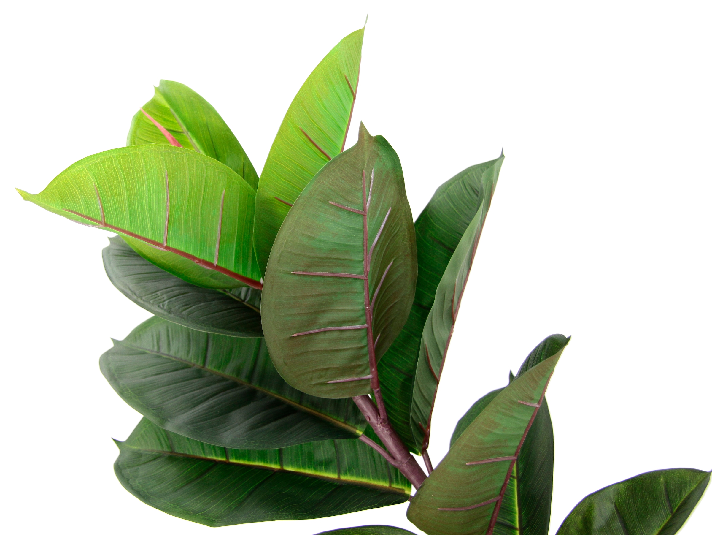 I.GE.A. Kunstbaum »Gummibaum«, Mit Übertopf, Ficus Elastica