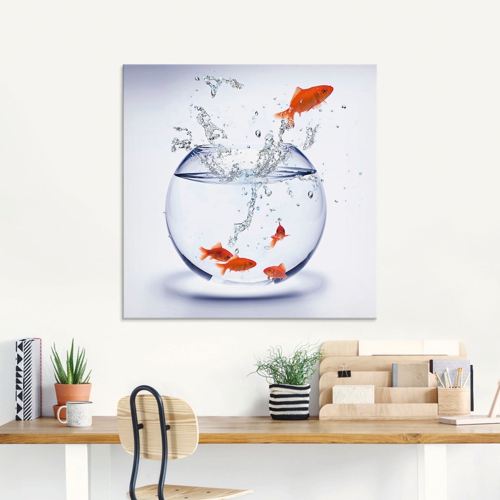 Artland Glasbild »Goldfischaquarium«, Wassertiere, (1 St.)