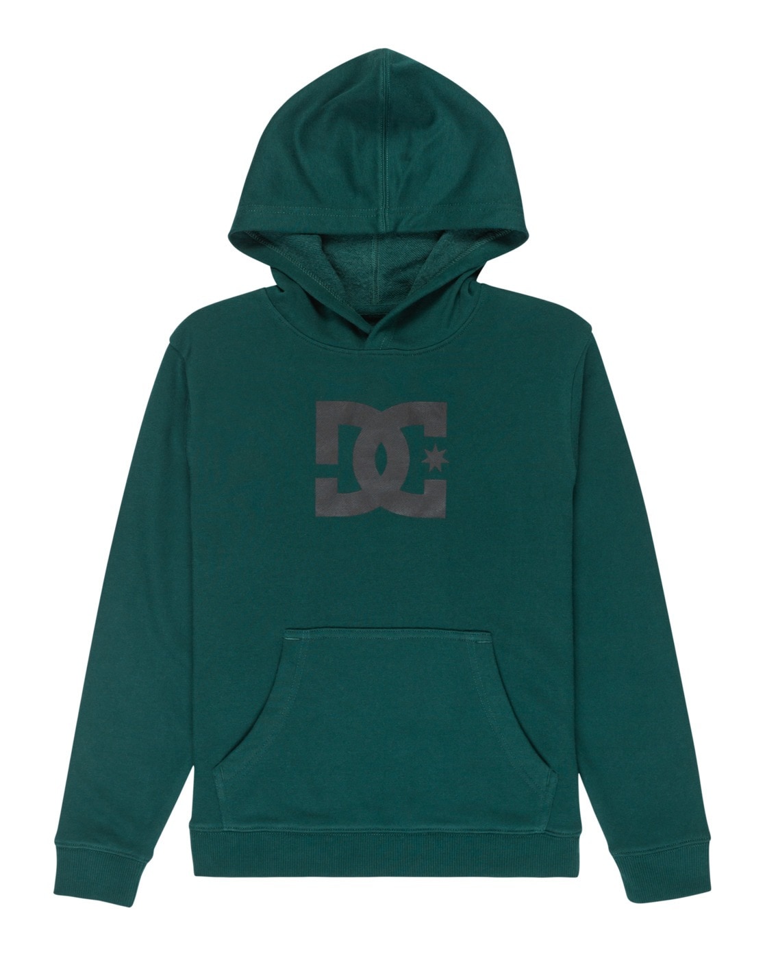 DC Shoes Kapuzensweatshirt »DC Star«