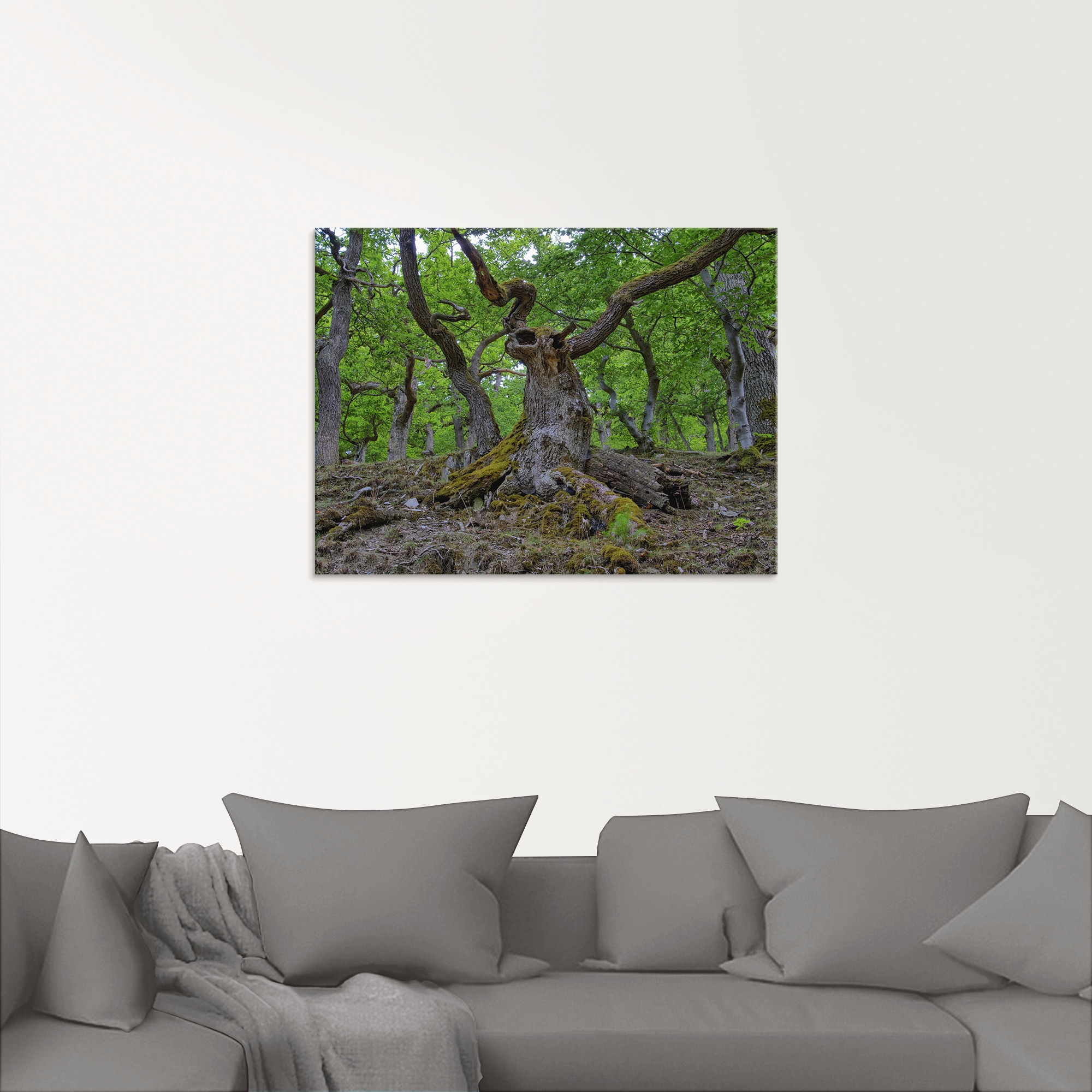 Artland Glasbild »Eichen wie ein Märchenwald«, Wald, (1 St.), in verschiedenen Größen
