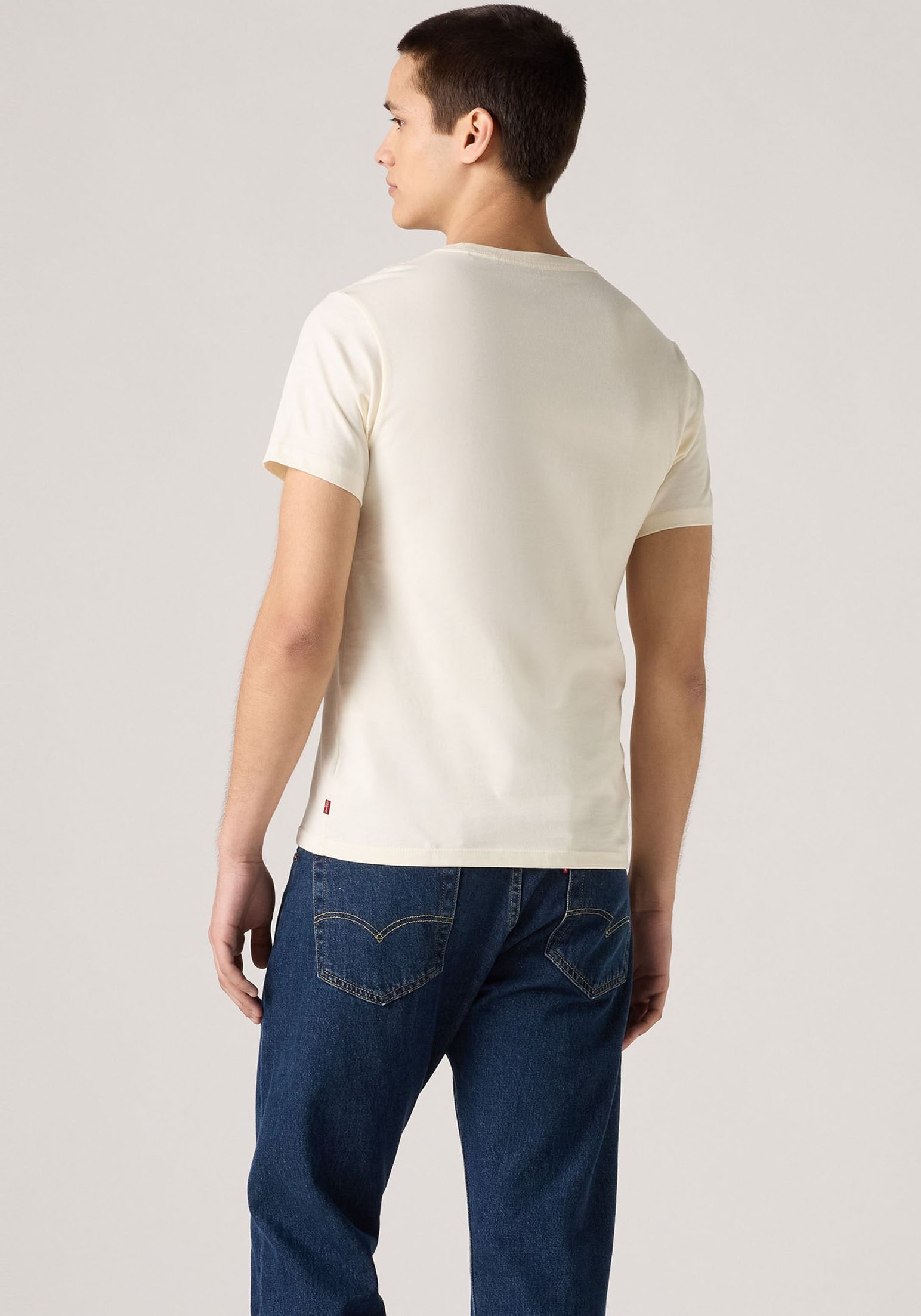 Levi's® Print-Shirt »Levi's® Original Housemark T-Shirt Canarias« mit Print
