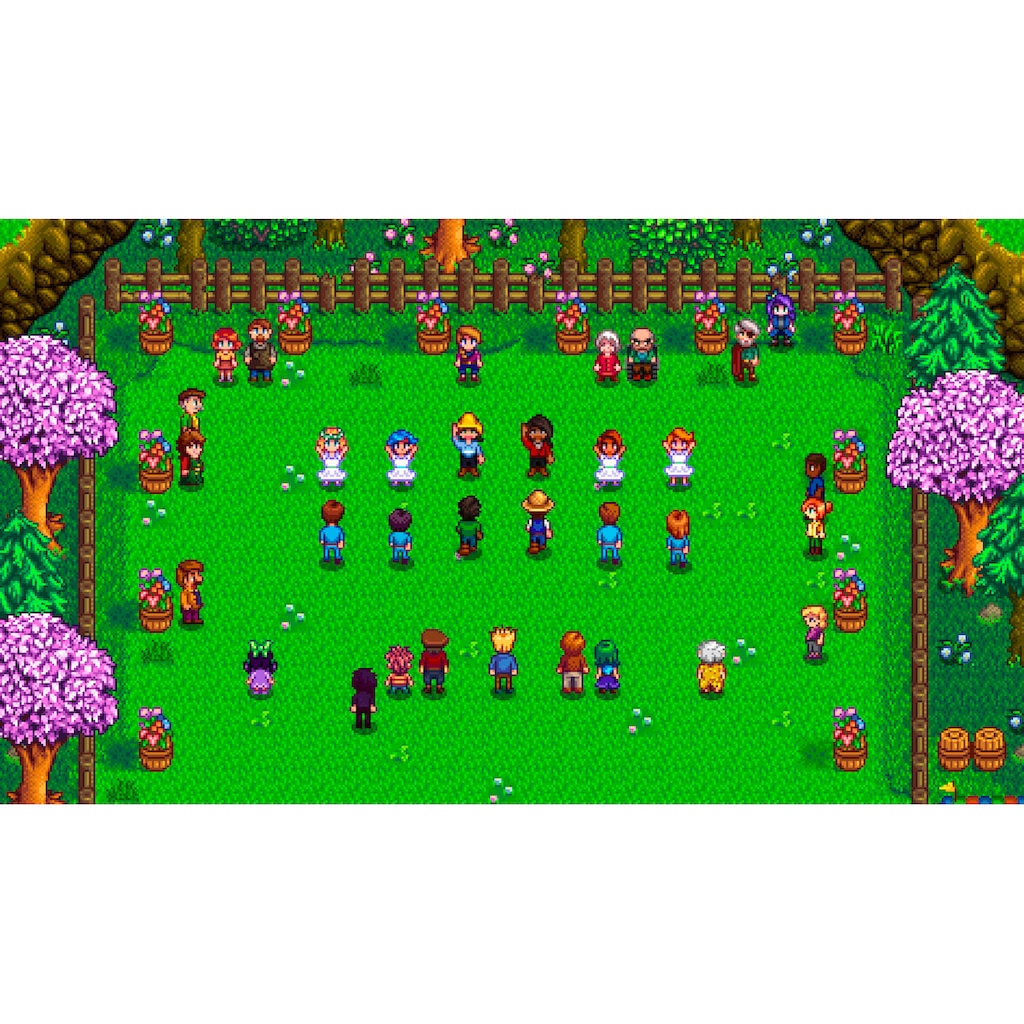 Spielesoftware »Stardew Valley«, Nintendo Switch