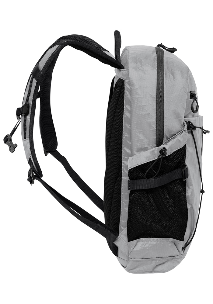Jack Wolfskin Daypack »WANDERMOOD PACK 20«