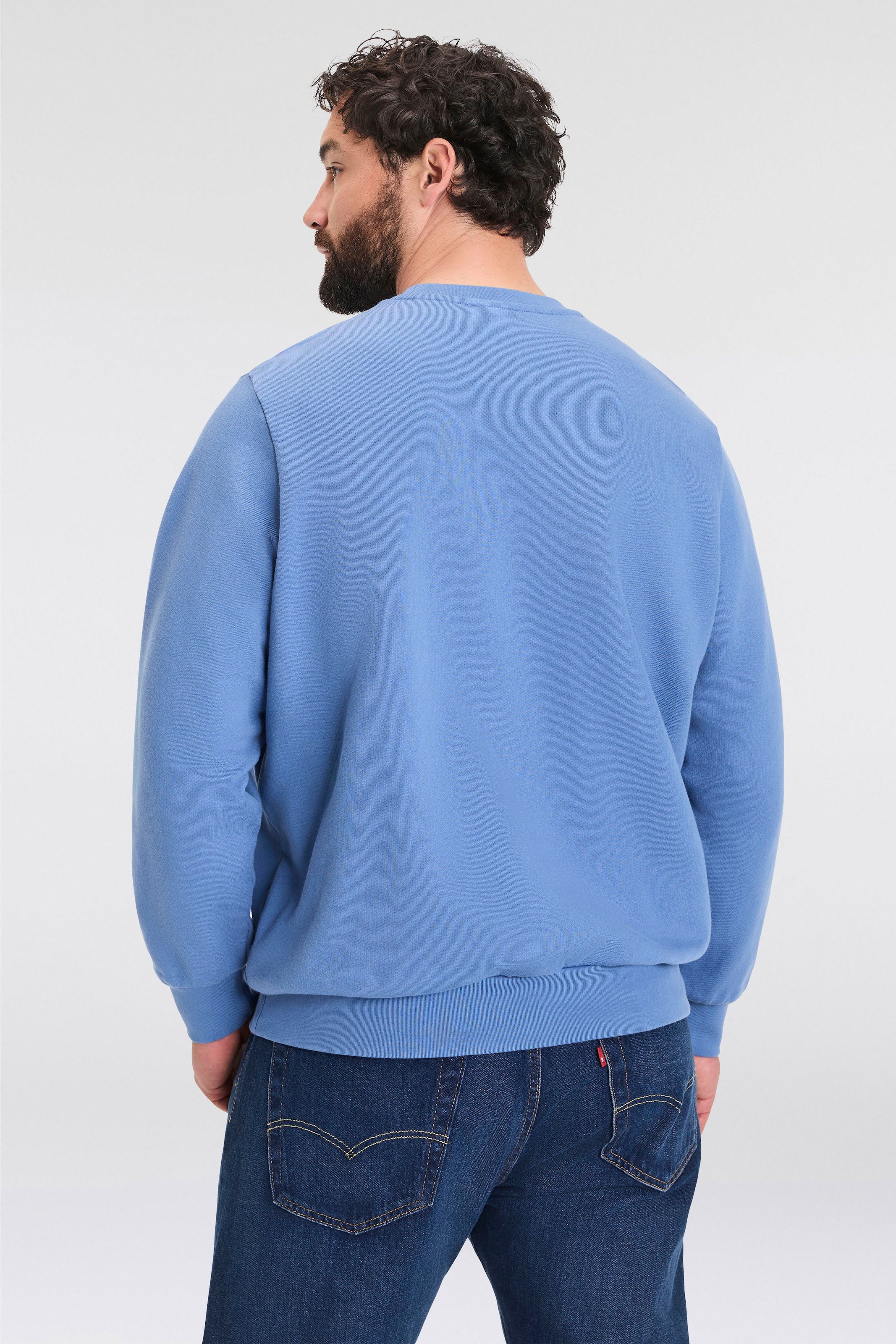 Levi's® Plus Sweatshirt »BIG ORIGINAL HM CREW«, mit Batwing-Logobadge