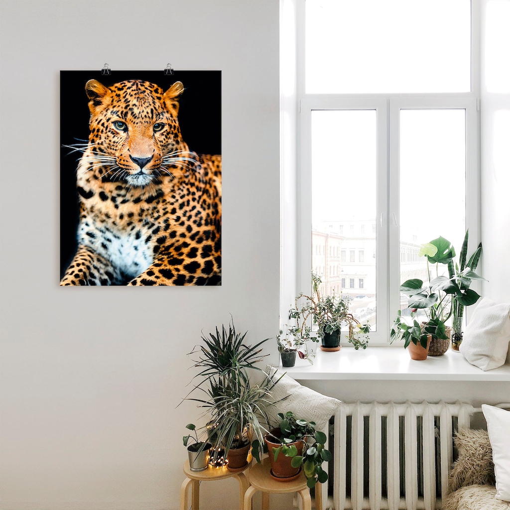 Artland Wandbild »Wütender wilder Leopard«, Wildtiere, (1 St.)