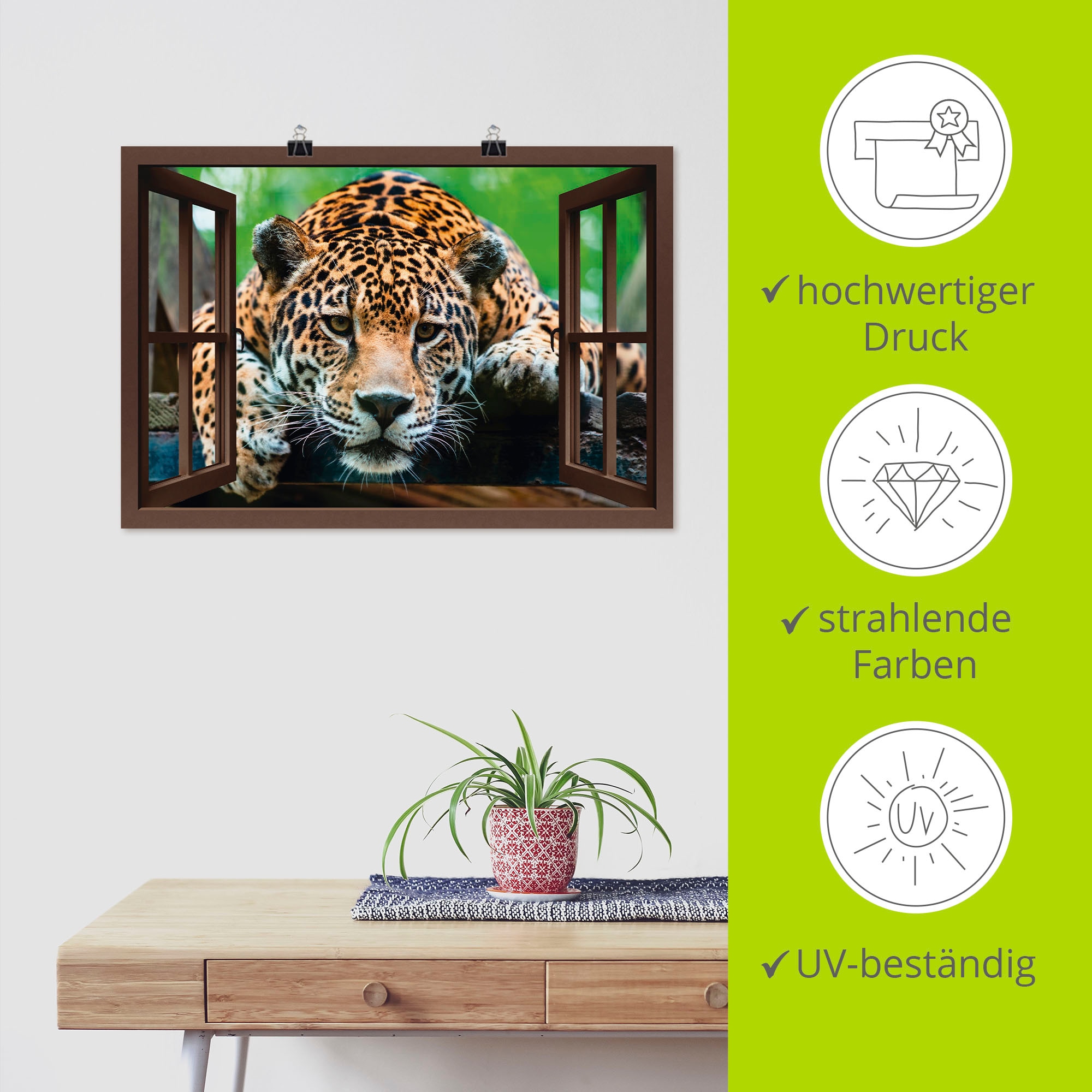 Artland Poster »Fensterblick - Südamerikanischer Jaguar« Wildtiere 1 Stk. tlg. als Alubild, Leinwandbild, Wandaufkleber oder Poster in versch. Größen