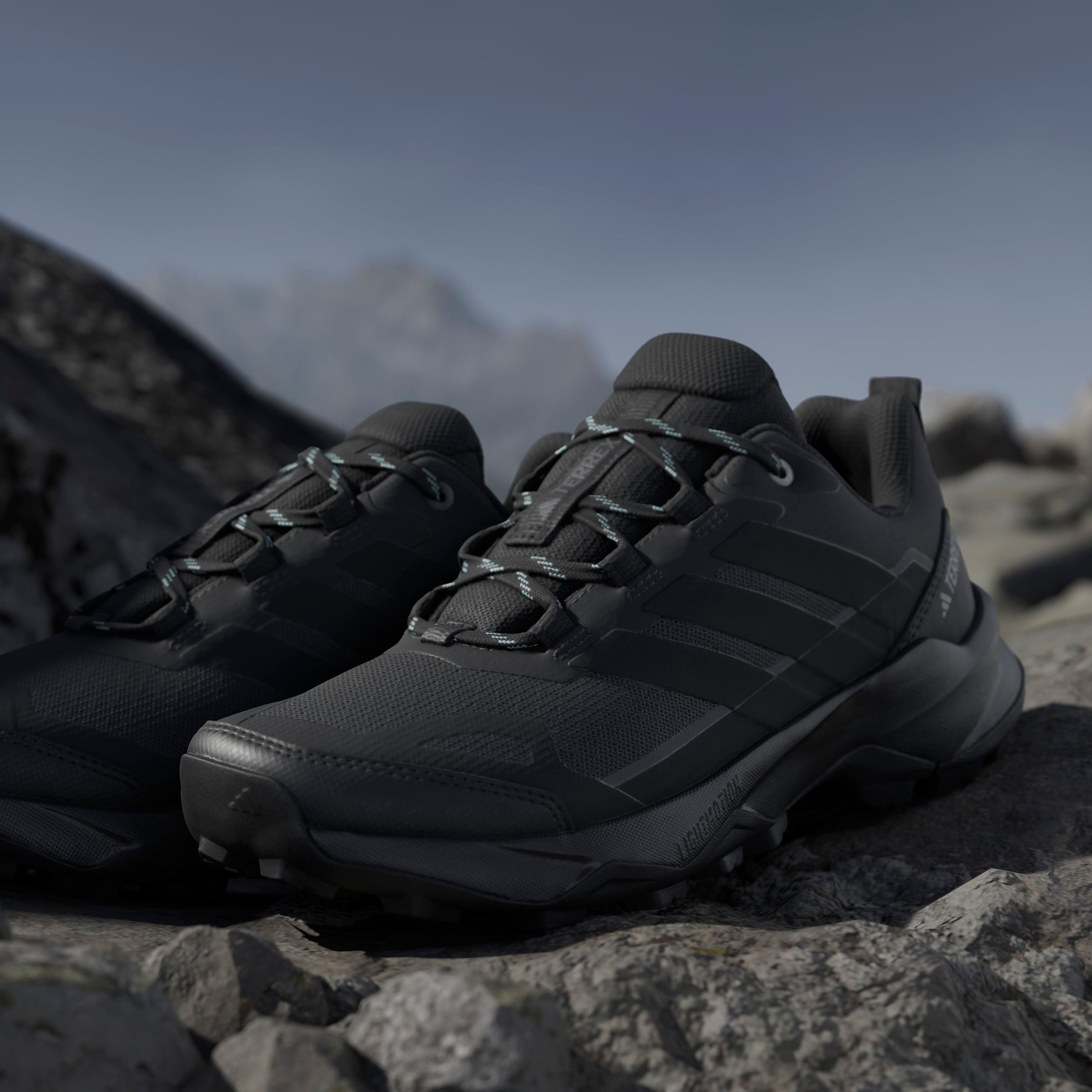 adidas TERREX Wanderschuh »TERREX SKYCHASER AX5«