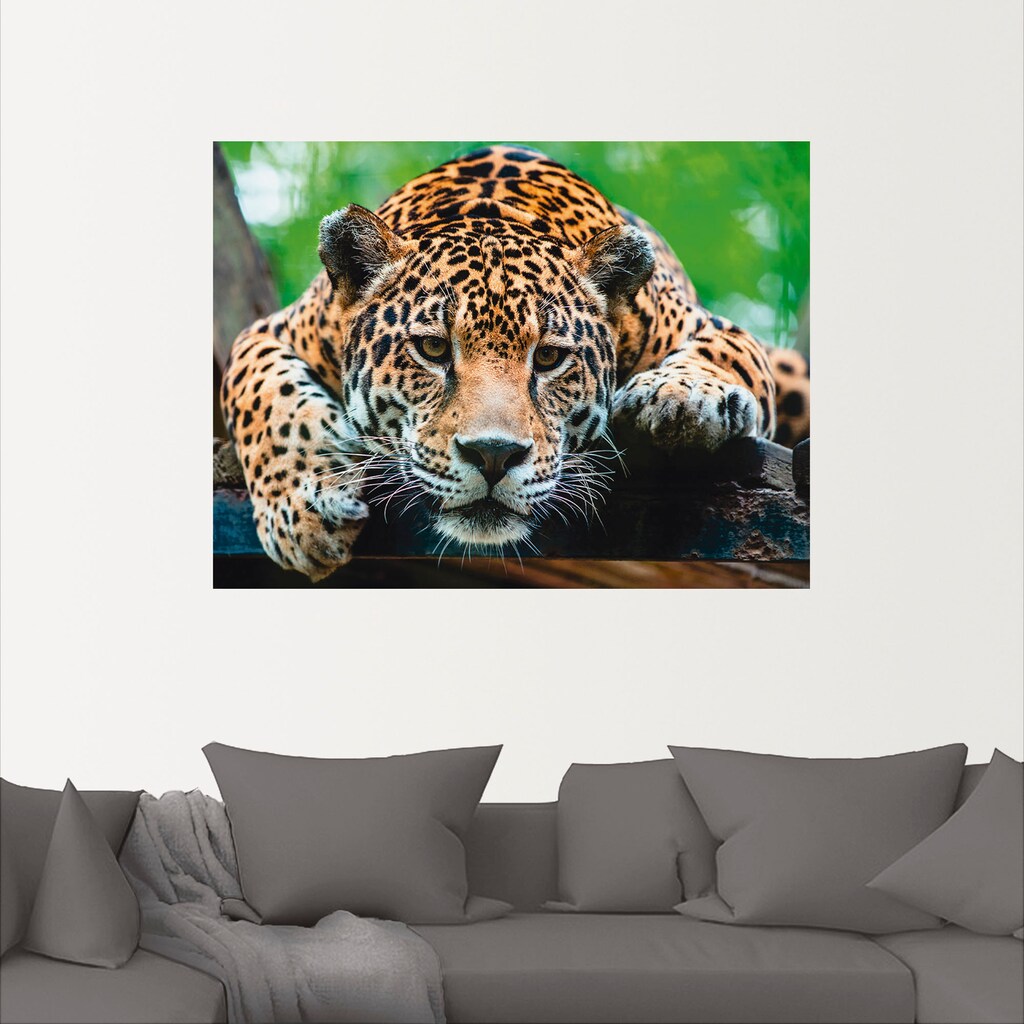 Artland Wandbild »Südamerikanischer Jaguar«, Wildtiere, (1 St.)