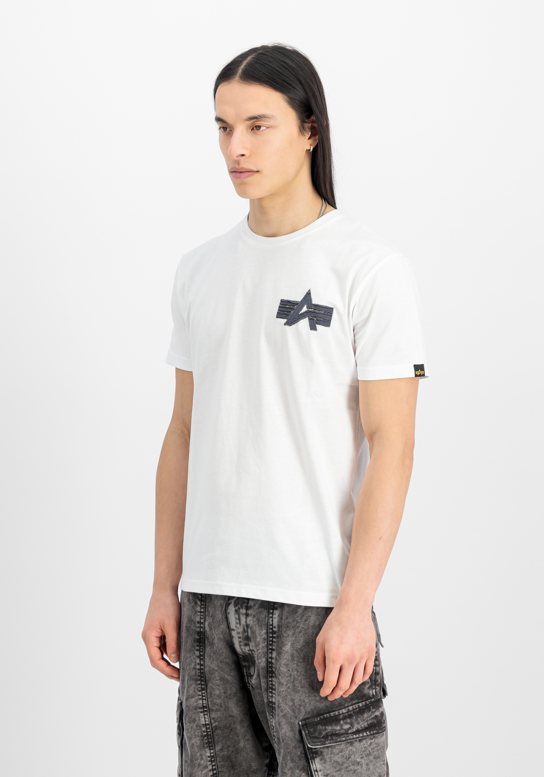 Alpha Industries T-Shirt »Coach T-Shirt Back Embroidery«