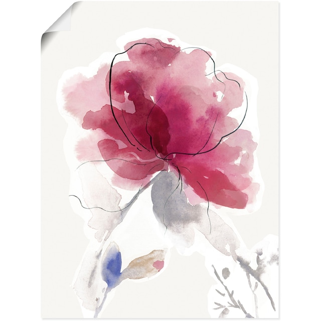 Artland Wandbild »Rosige Blüte II.«, Blumenbilder, (1 St.), als Alubild,  Leinwandbild, Wandaufkleber oder Poster in versch. Größen bequem kaufen