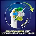 Oral B Aufsteckbürsten »Tiefenreinigung Clean Maxi«