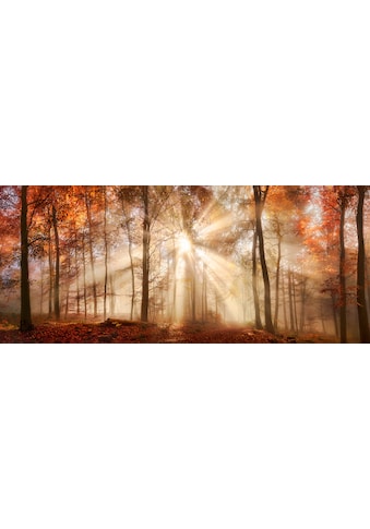 Leinwandbild »Herbst«, Wald, (1 St.)