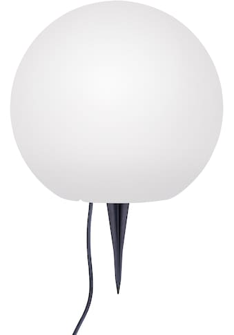 TRIO Leuchten LED Außen-Stehlampe »NECTOR«, LED-Board, 1 St., Farbwechsler, RGBW kaufen