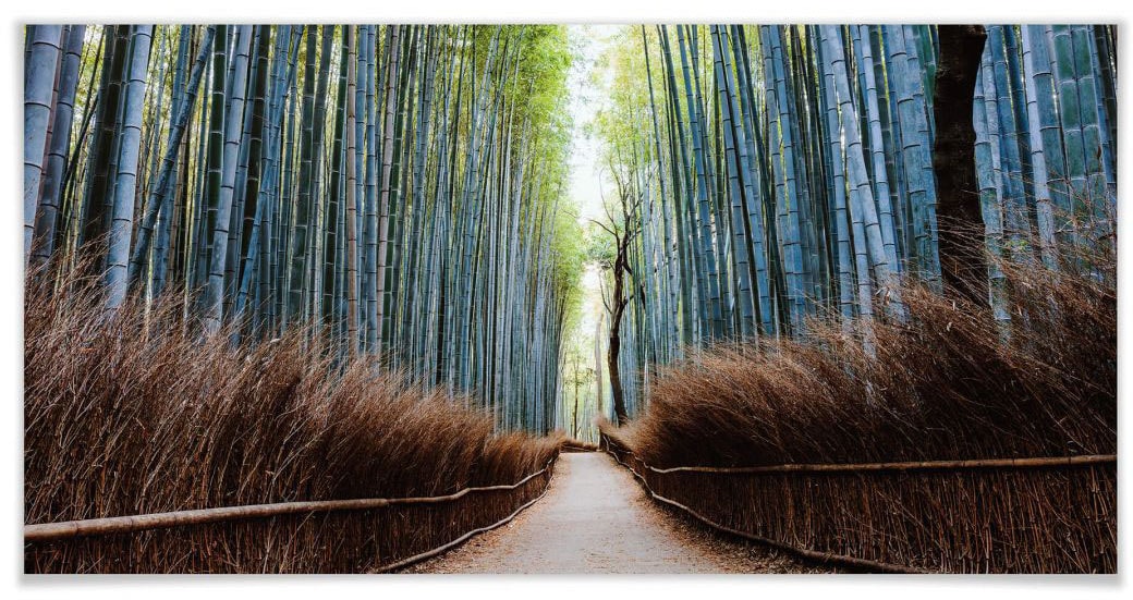 Wall-Art Poster »Bambushöhle (1 Raten auf Japan«, Höhlen, Wandposter Wandbild, Poster, bestellen St.), Bild