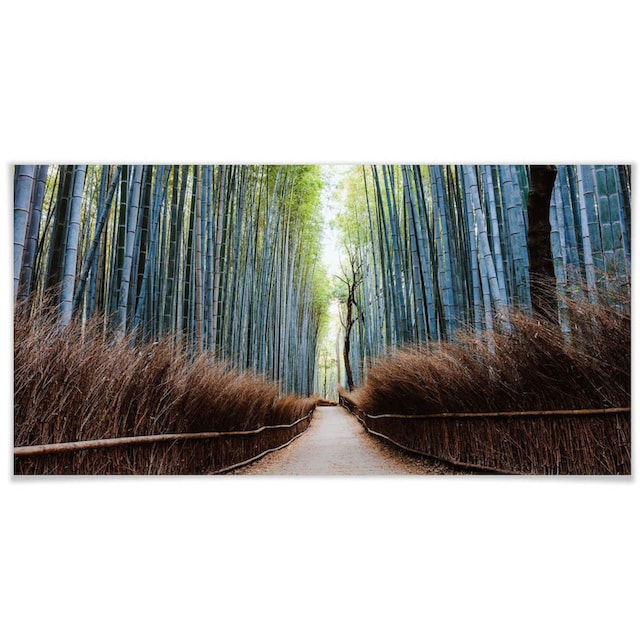 Wall-Art Poster »Bambushöhle Japan«, Höhlen, (1 St.), Poster, Wandbild,  Bild, Wandposter auf Raten bestellen