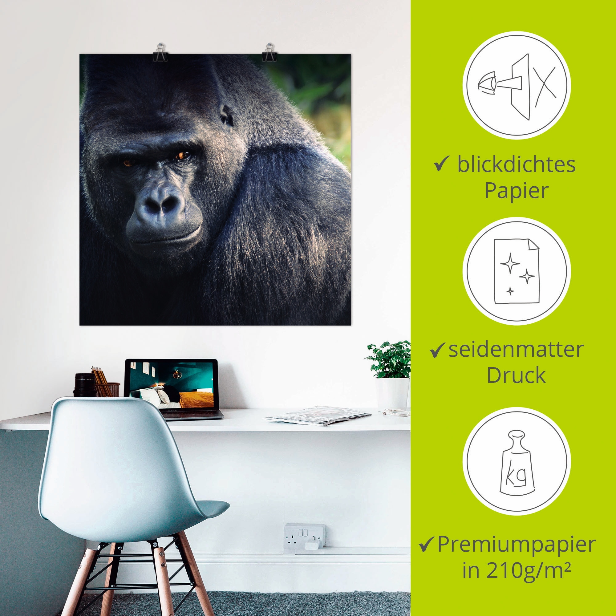 Artland Poster »Gorilla«, Wildtiere, (1 St.), als Leinwandbild, Wandaufkleber oder Poster in versch. Größen