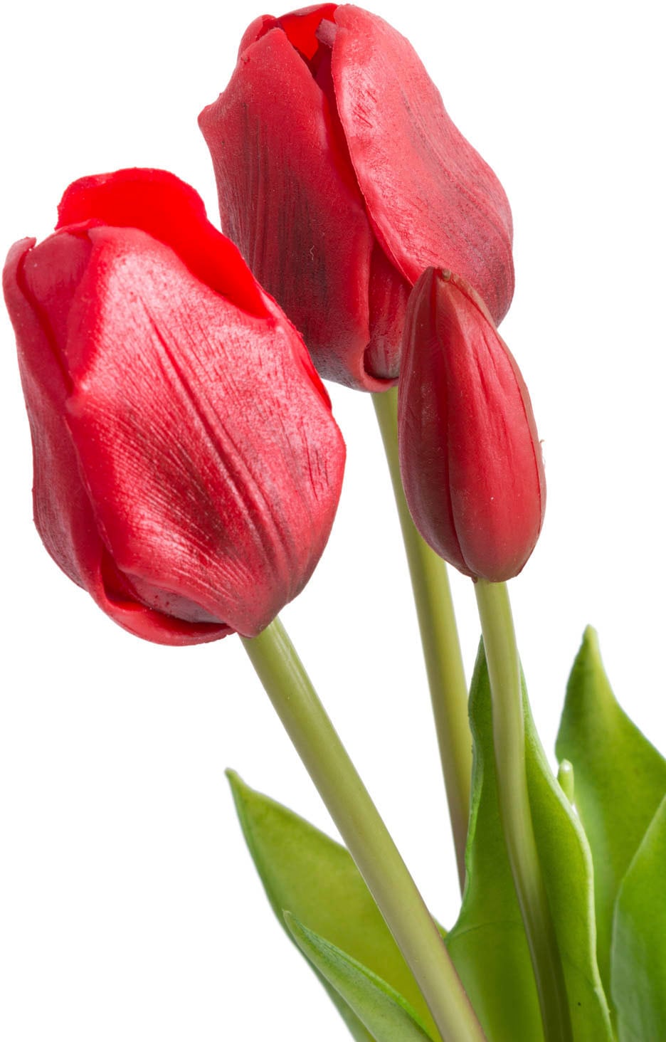 Botanic-Haus Kunstblume »Tulpenbündel« Raten auf bestellen