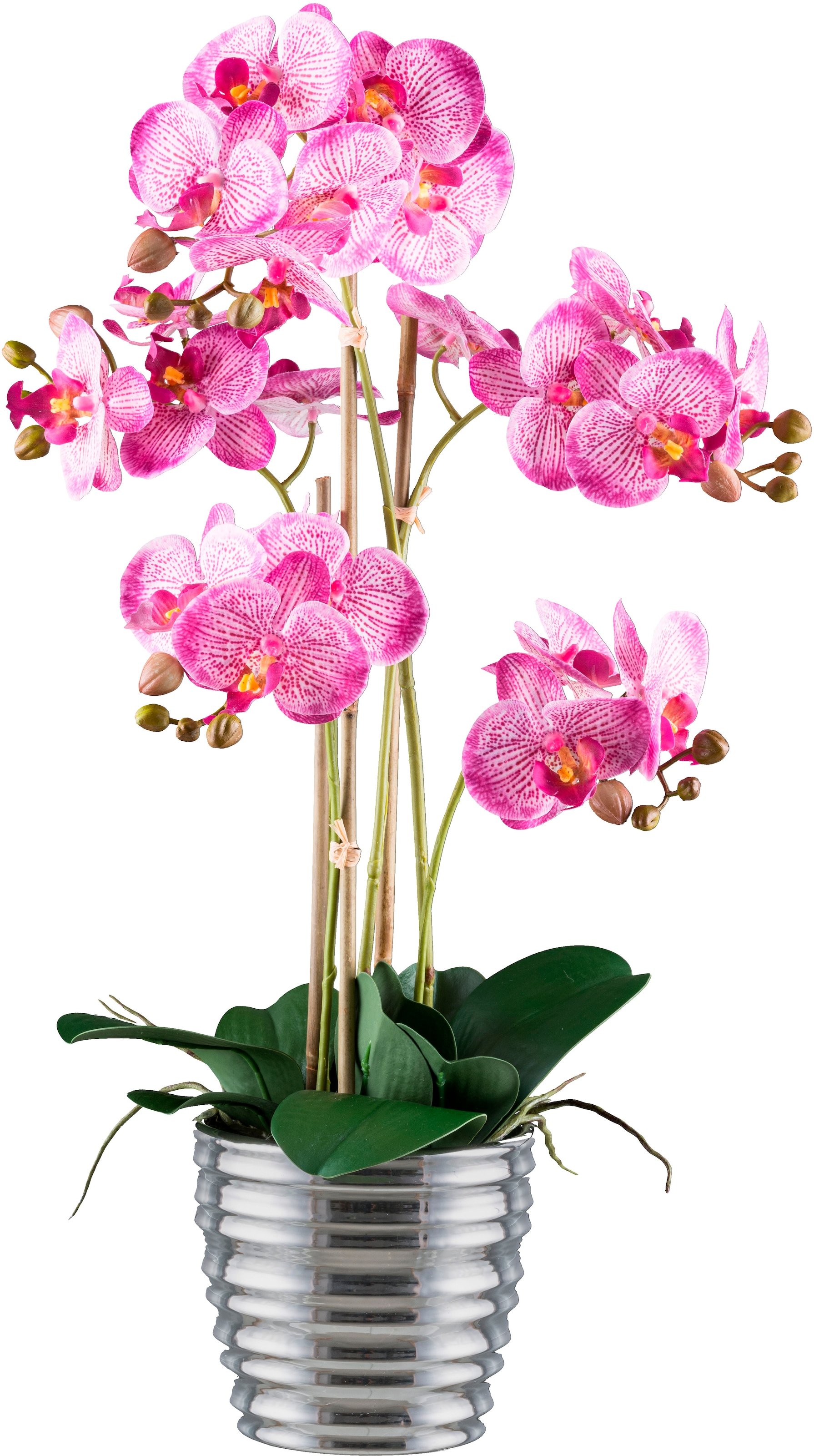 Creativ green Kunstorchidee »Orchidee Phalaenopsis«, mit silberfarbenem Keramiktopf