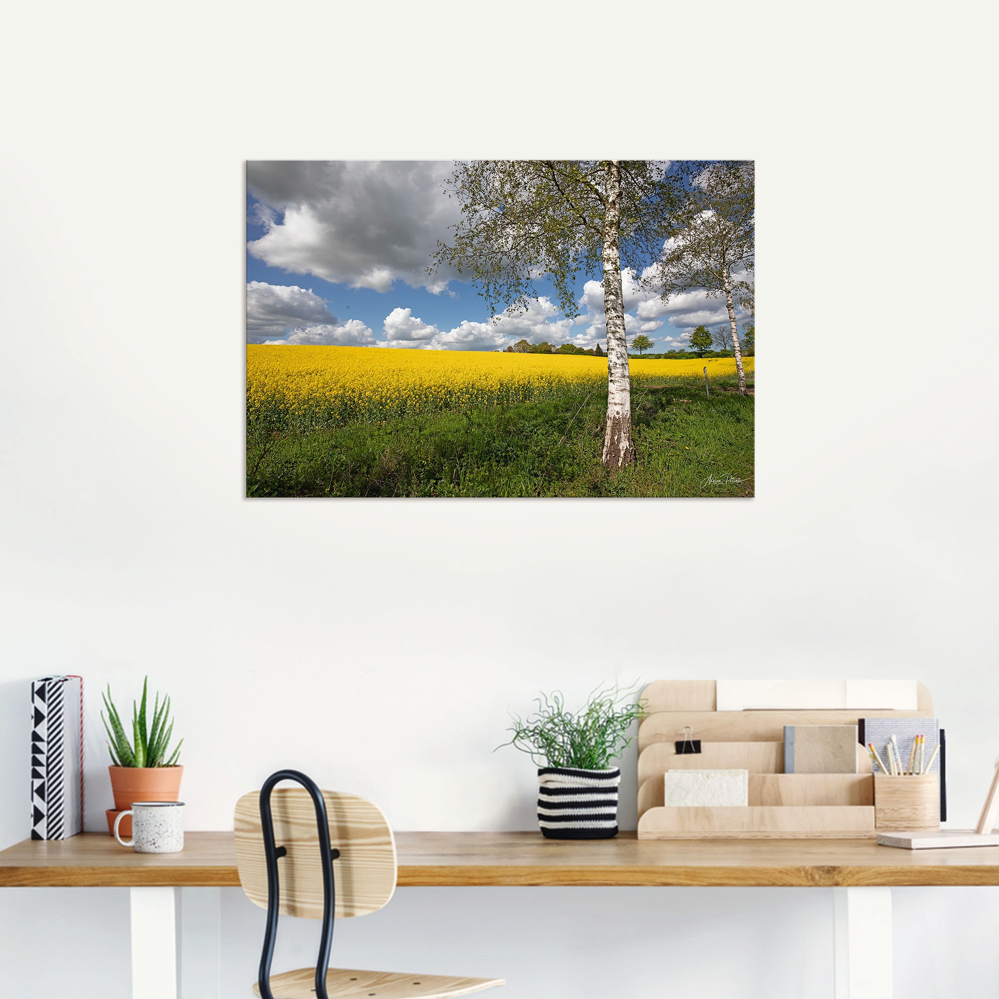 Artland Wandbild »Rapsfeld«, Wiesen & Baumbilder, (1 St.), als Alubild, Outdoorbild, Poster in verschied. Größen