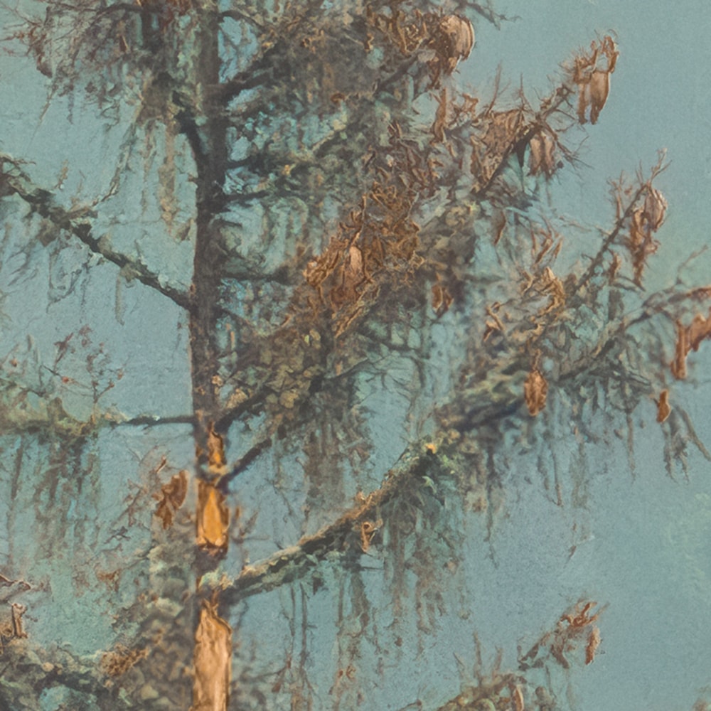 Komar Fototapete »Vlies Fototapete - Foggy Firs - Größe 400 x 250 cm« Motiv | bedruckt glatt