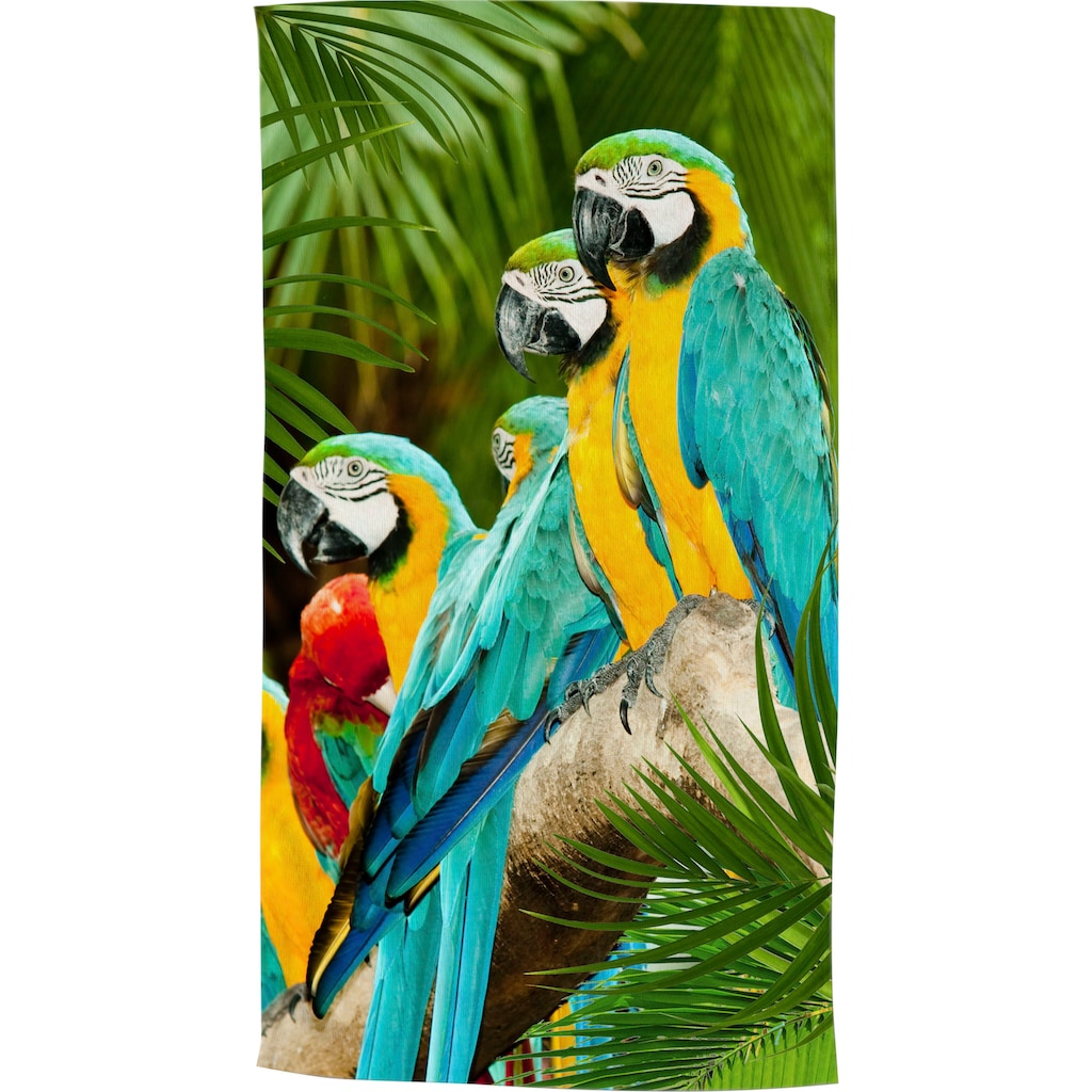good morning Strandtuch »Parrots«, (1 St.), Motiv Papageien, mit weißer Rückseite