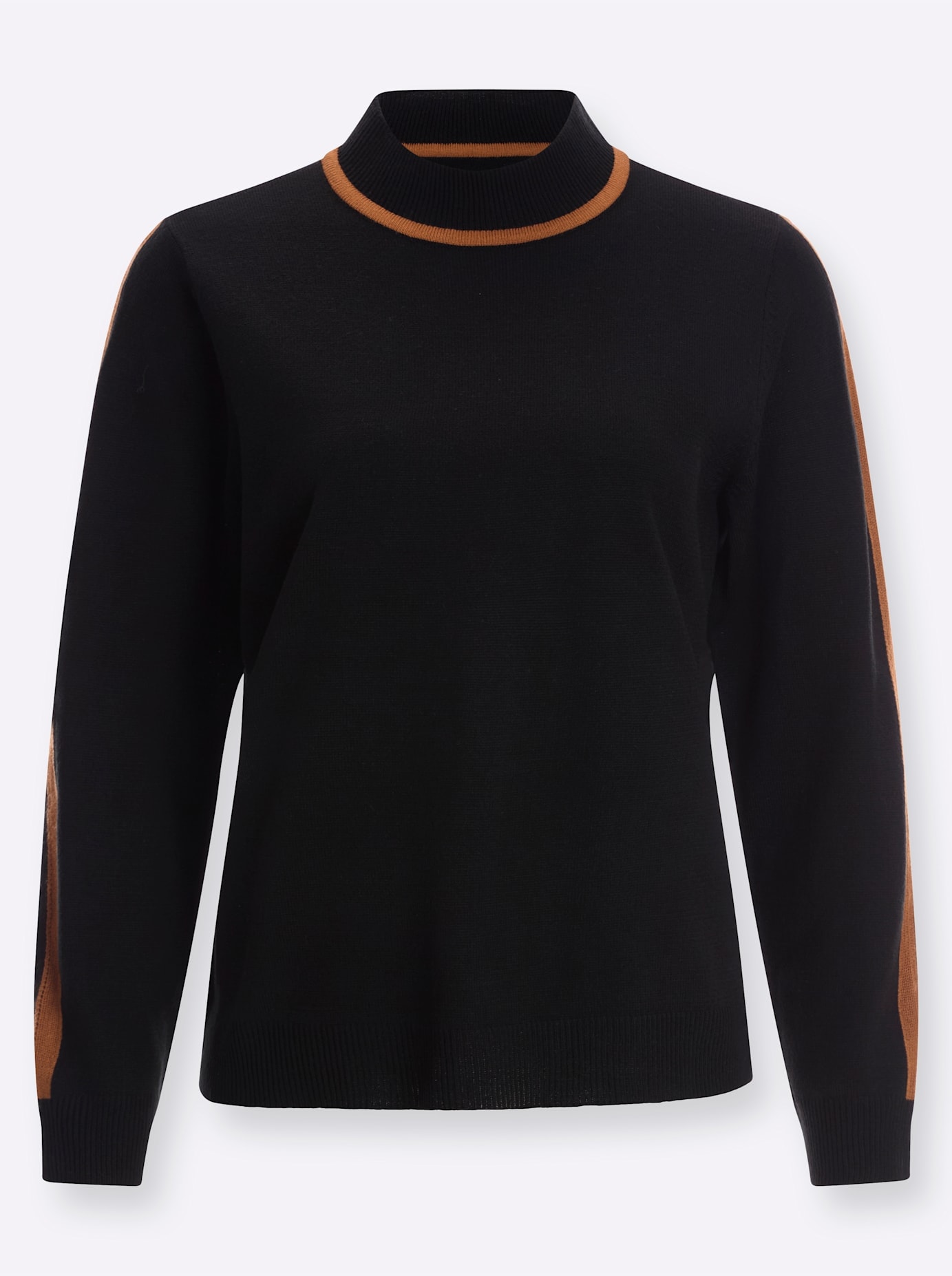 Classic Basics Stehkragenpullover »Langarm-Pullover«