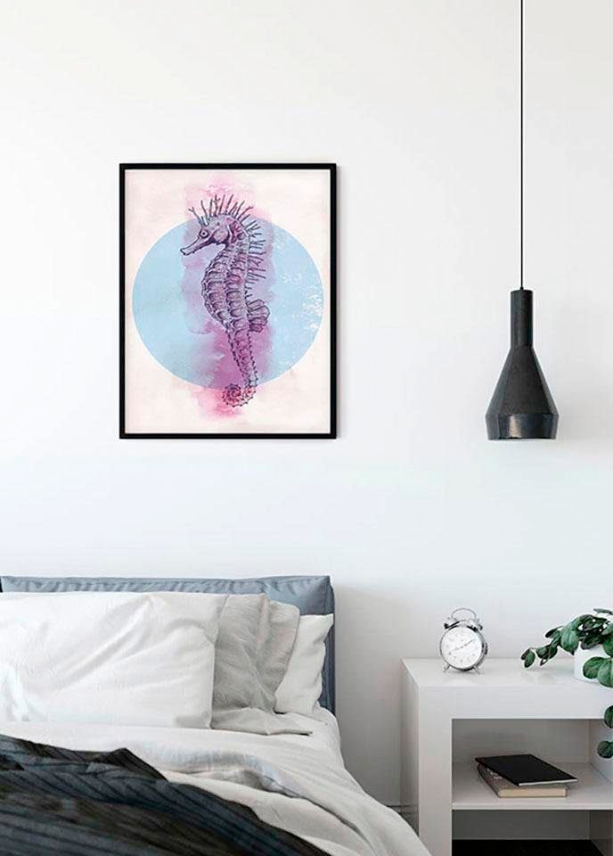 Komar Bild »Sea Horse Circle« Tiere 1 Stk. tlg. Wandbild zur Dekoration - ohne Rahmen