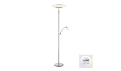 Paul Neuhaus Stehlampe »TROJA«, 2 flammig-flammig, LED, CCT - tunable white, dimmbar... kaufen