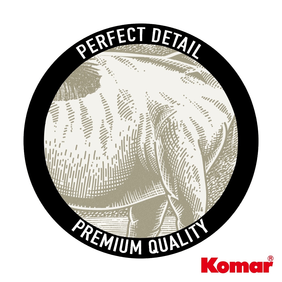 Komar Fototapete »Vlies Fototapete - Jurassic Kingdom - Größe 400 x 250 cm« Motiv | bedruckt glatt