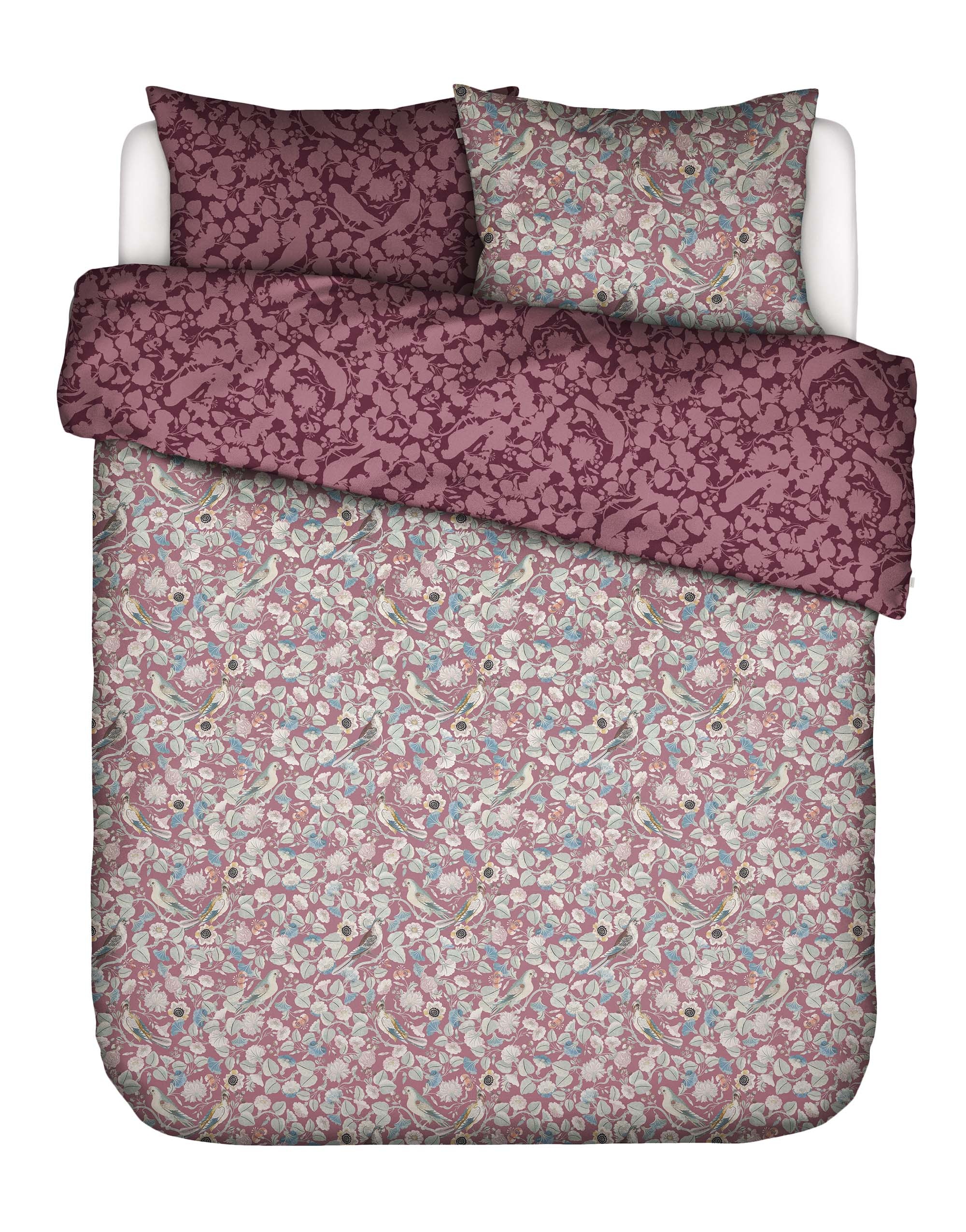 Essenza Wendebettwäsche »Aleste, 100% Bio-Baumwollsatin« 2 Stk. tlg.