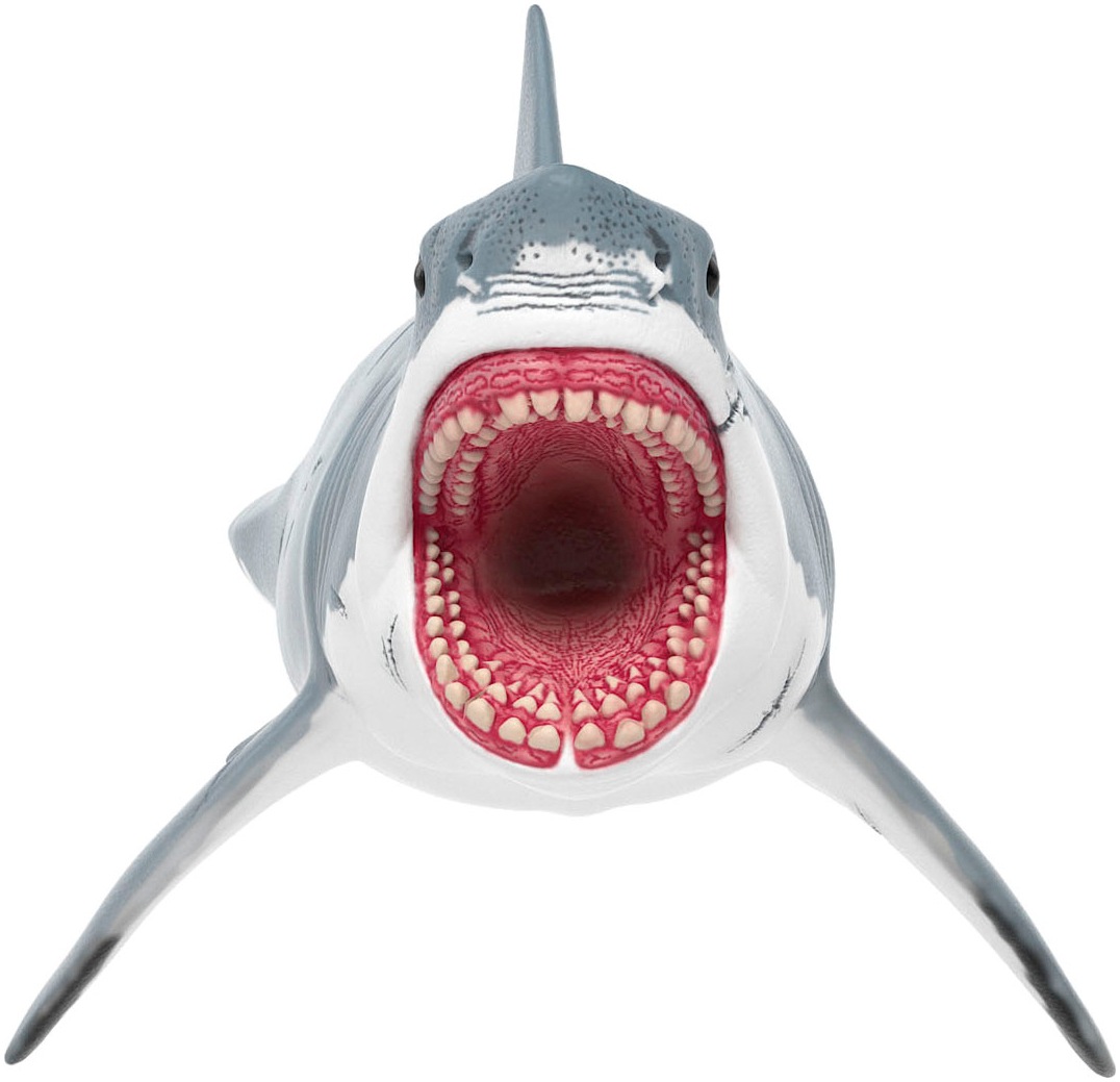Schleich® Spielfigur »DINOSAURS, Megalodon (15055)«