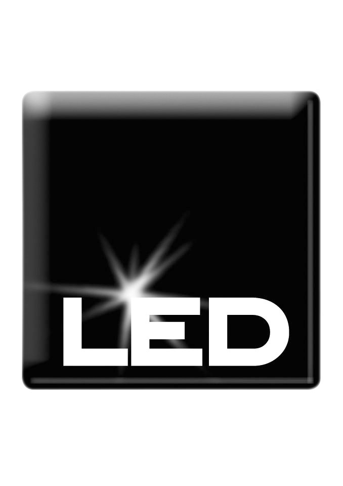 Schneider LED-Lichterkette »Beere, Weihnachtsdeko rot«