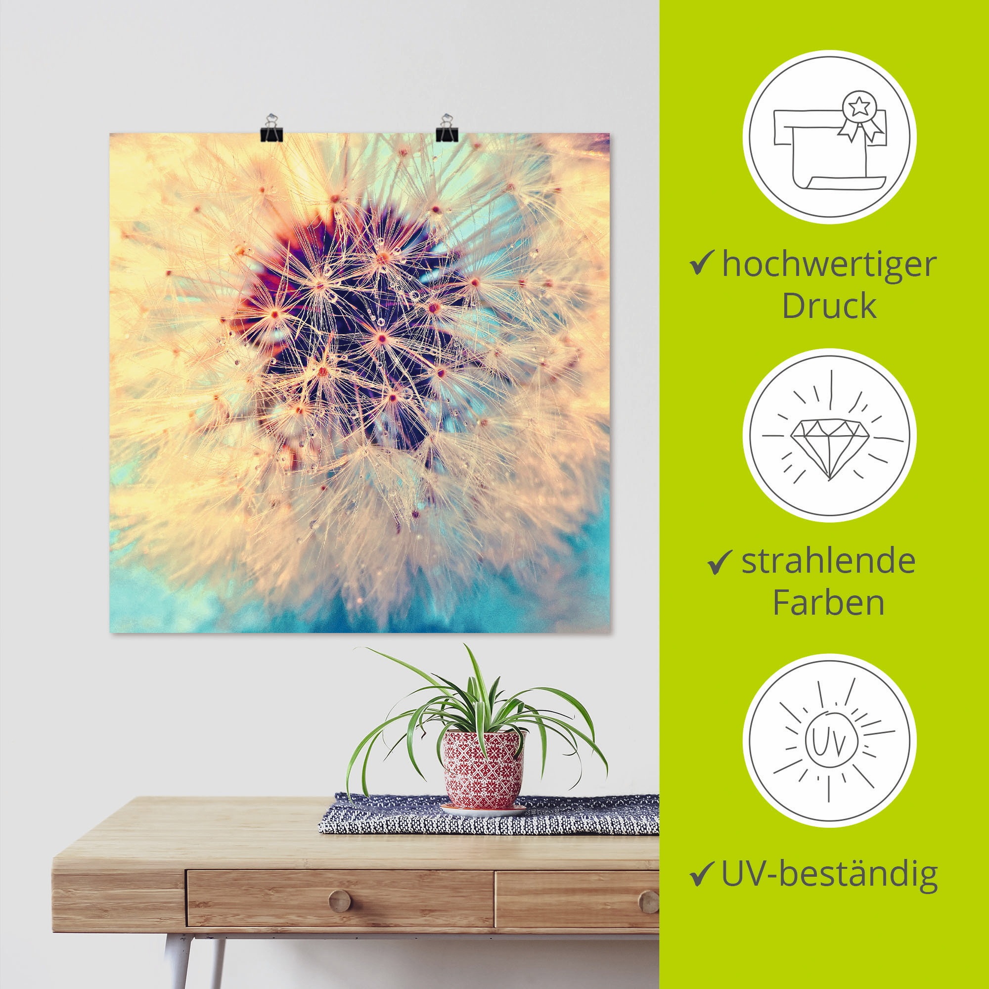 Artland Wandbild »Pusteblume ganz nah«, Blumen, (1 St.), als Alubild, Outdoorbild, Leinwandbild, Poster in verschied. Größen